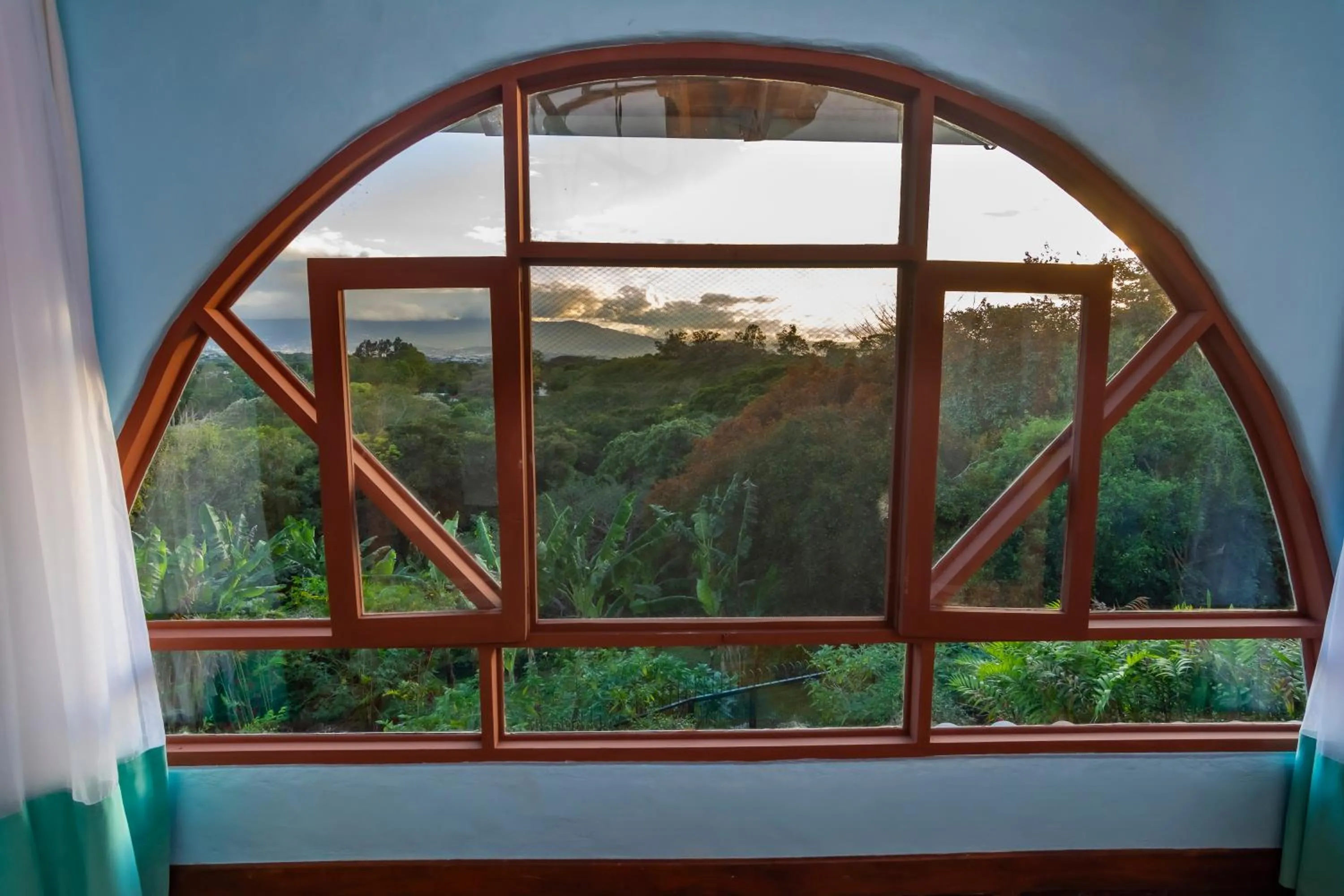 Garden view in Finca Rosa Blanca Coffee Farm and Inn