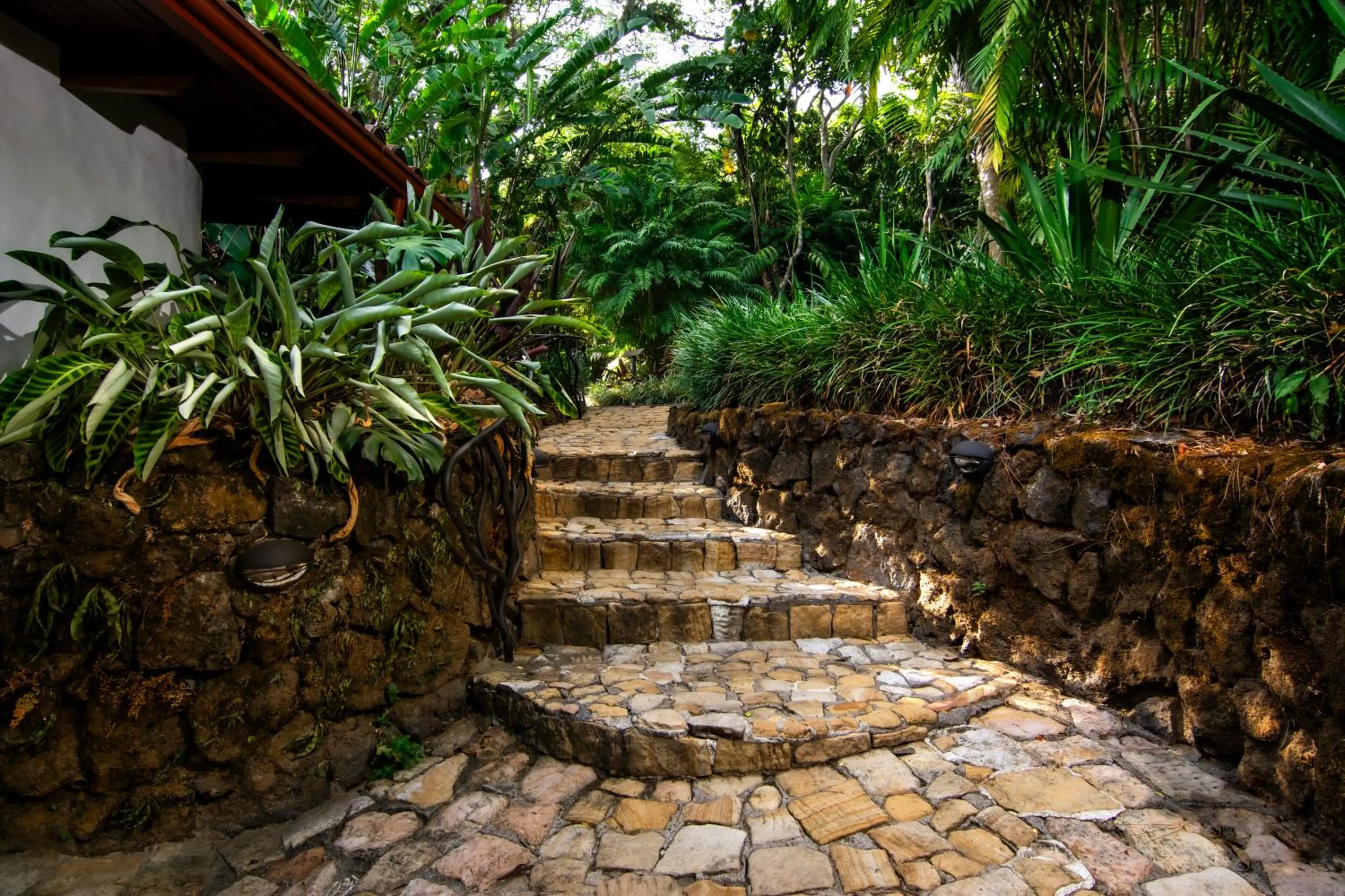 Garden in Finca Rosa Blanca Coffee Farm and Inn