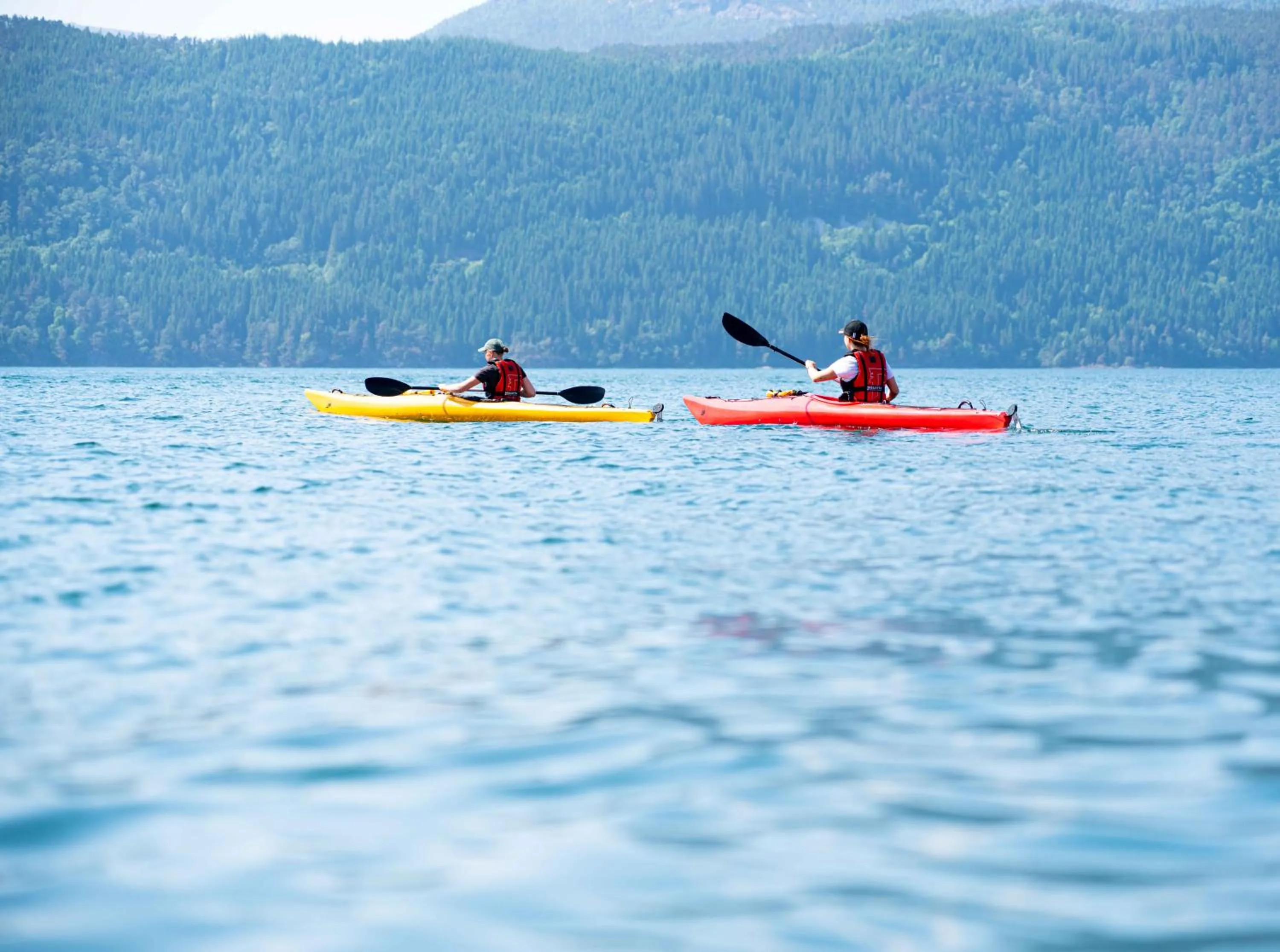 Activities in Ryfylke Fjordhotel