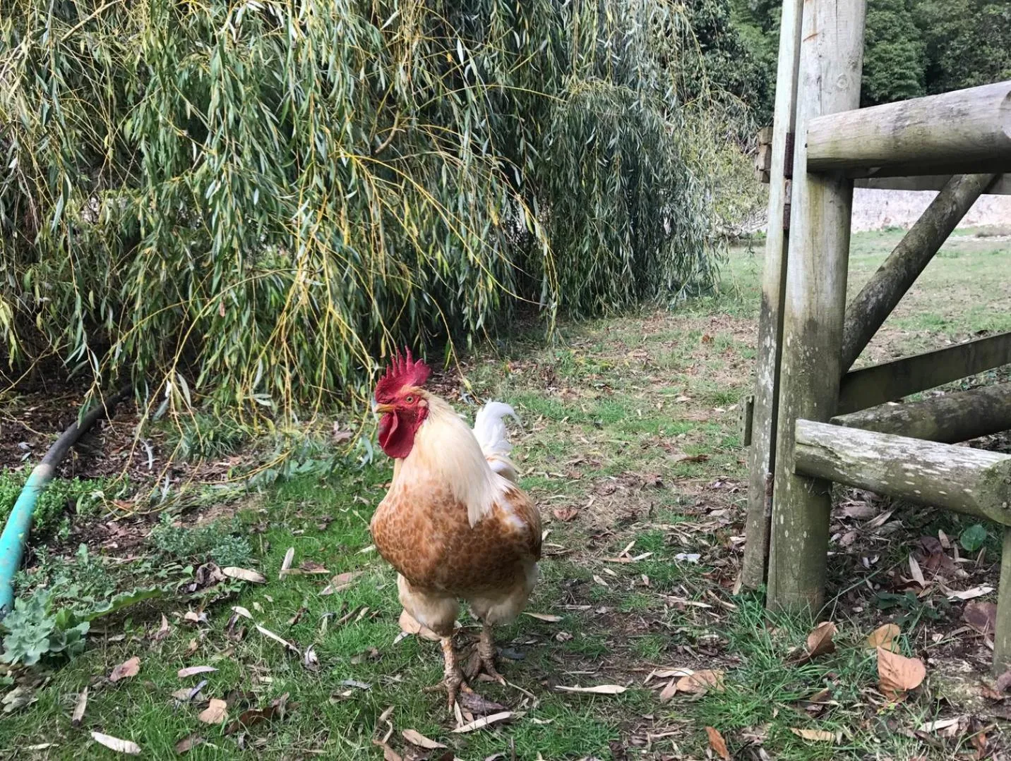 Casa Holstein Quinta de Sao Sebastiao Sintra