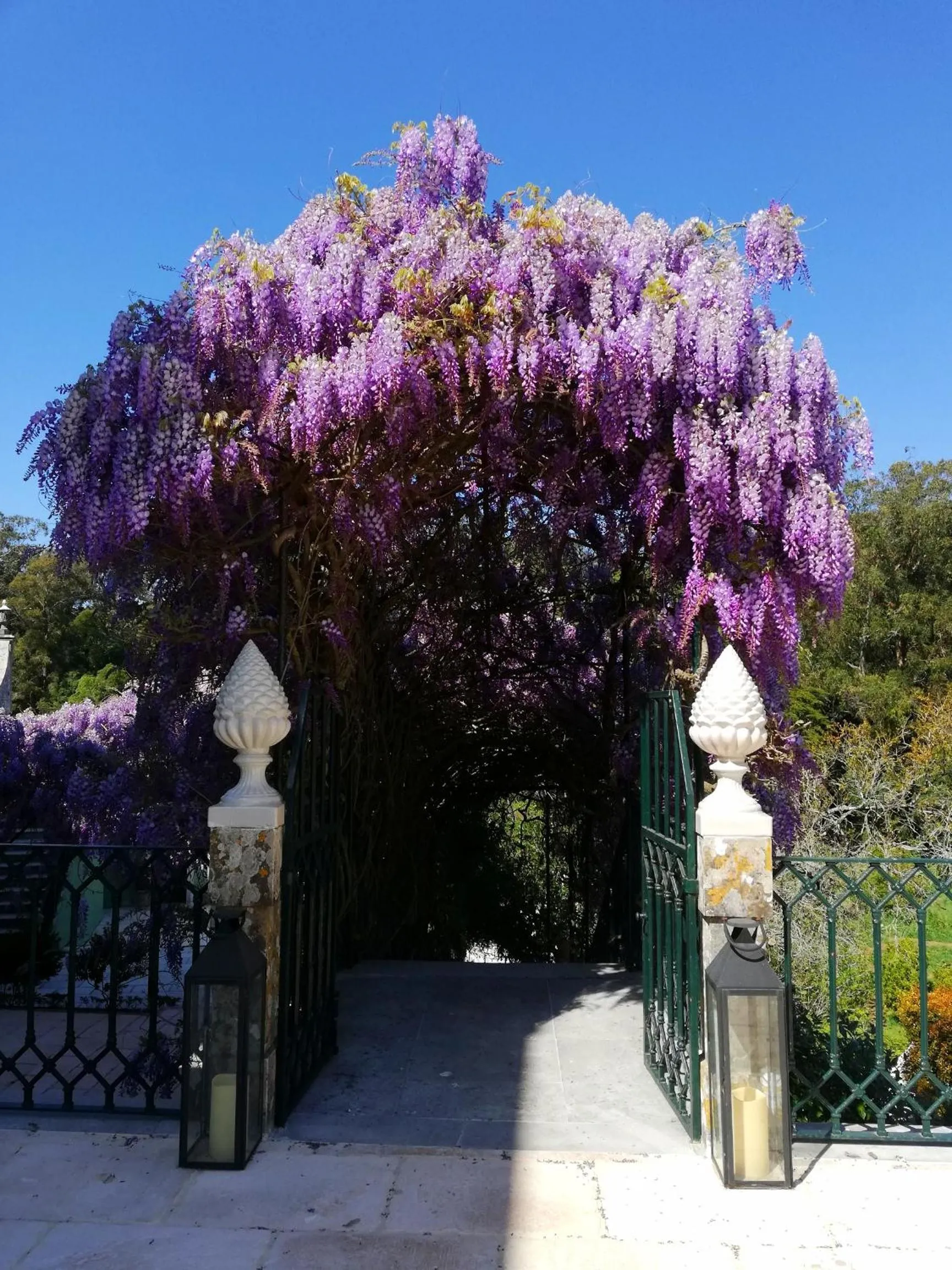 Facade/entrance in Casa Holstein Quinta de Sao Sebastiao Sintra
