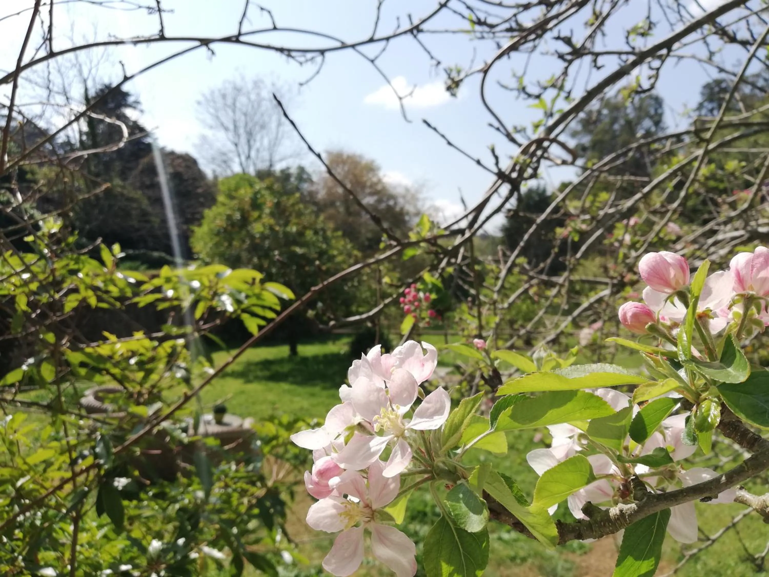 Natural landscape in Casa Holstein Quinta de Sao Sebastiao Sintra
