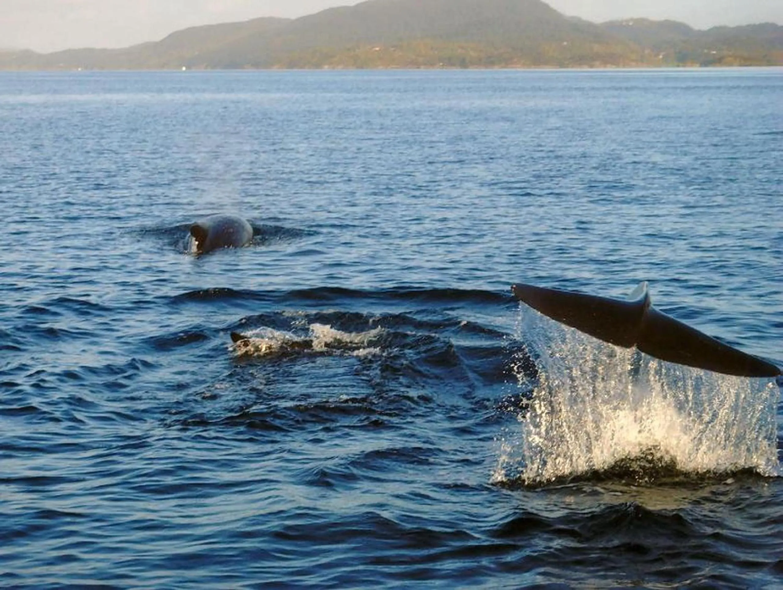 View (from property/room) in Langenuen Motel & Camping