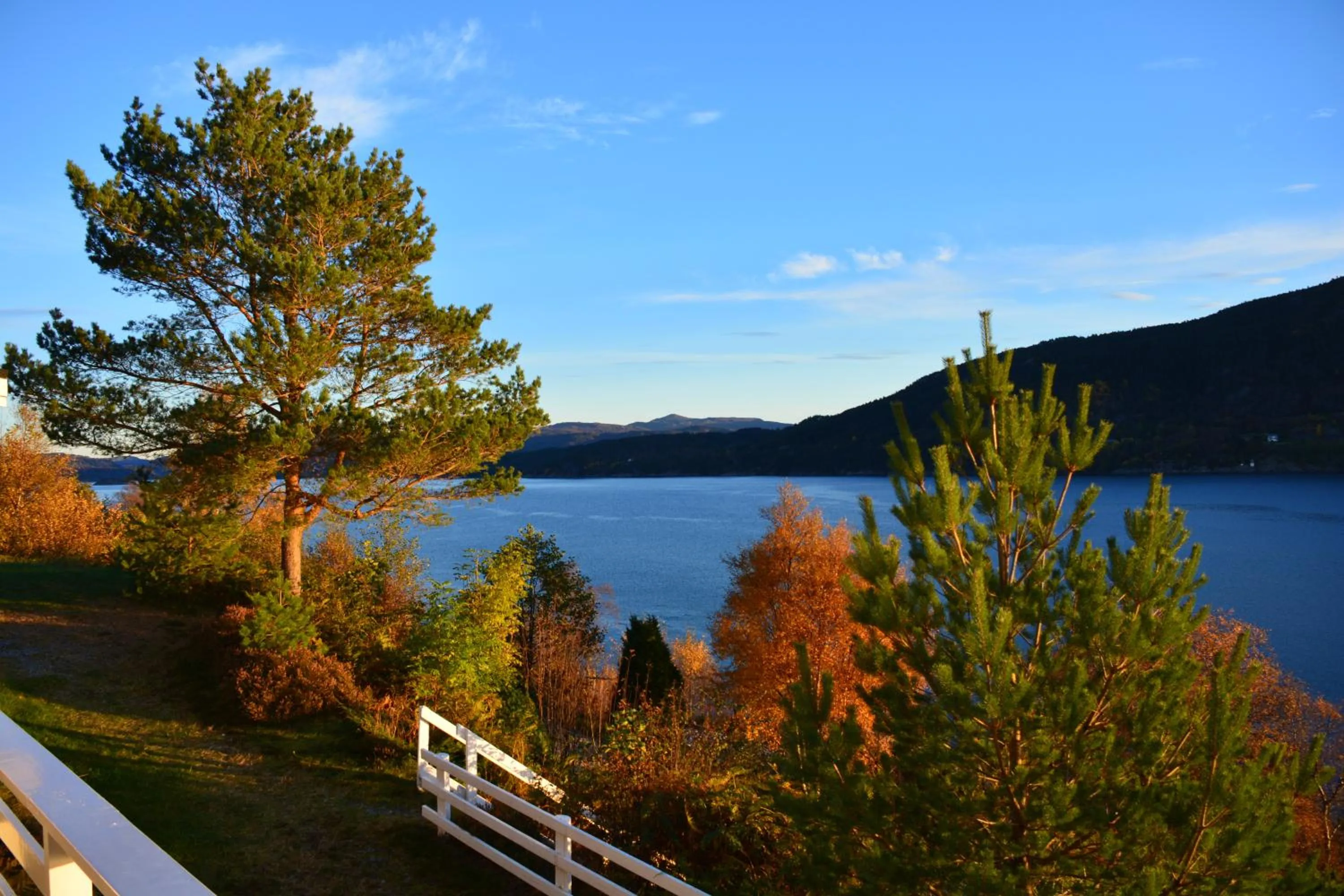 Garden in Langenuen Motel & Camping