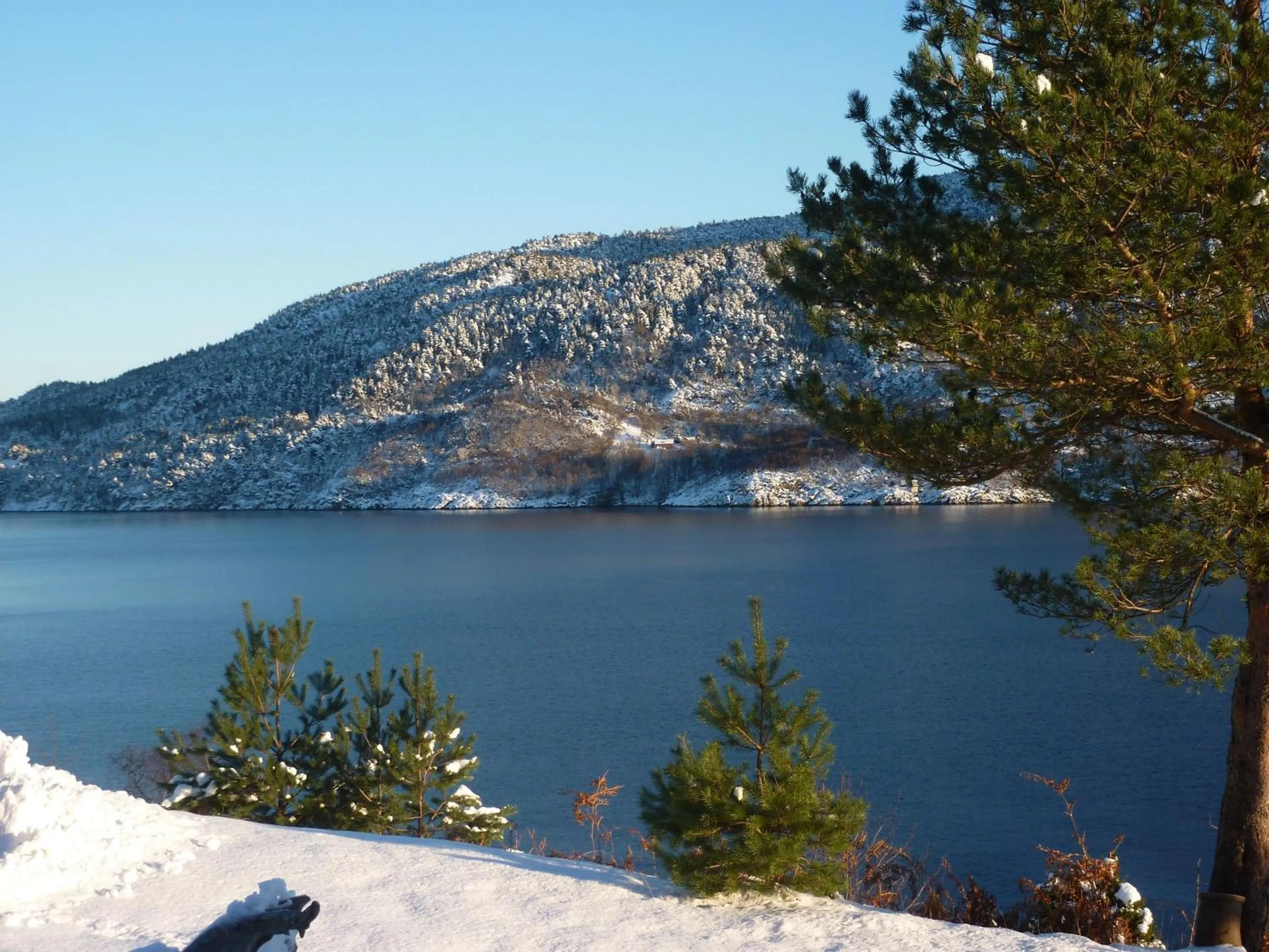 Garden in Langenuen Motel & Camping