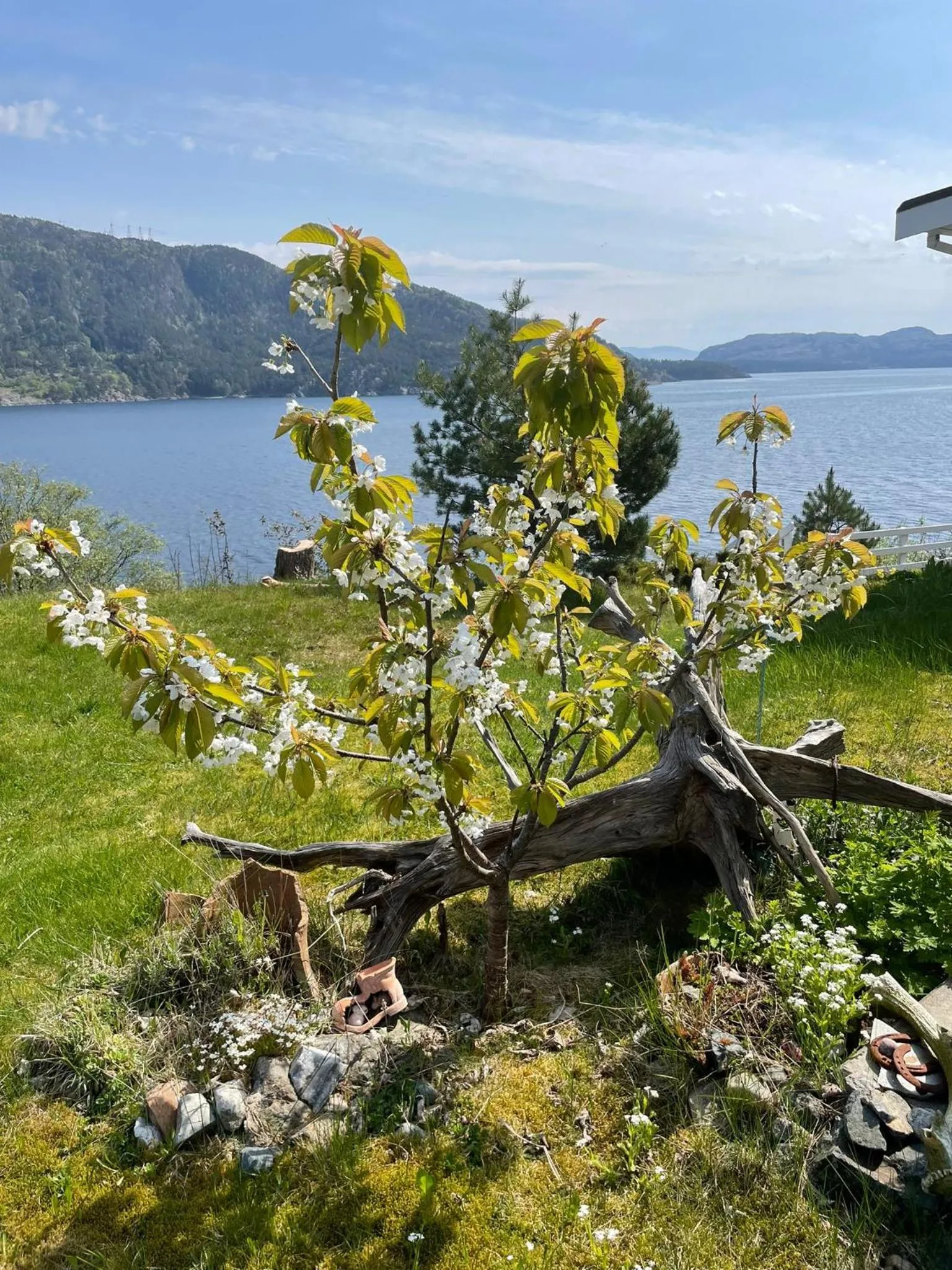 Garden in Langenuen Motel & Camping