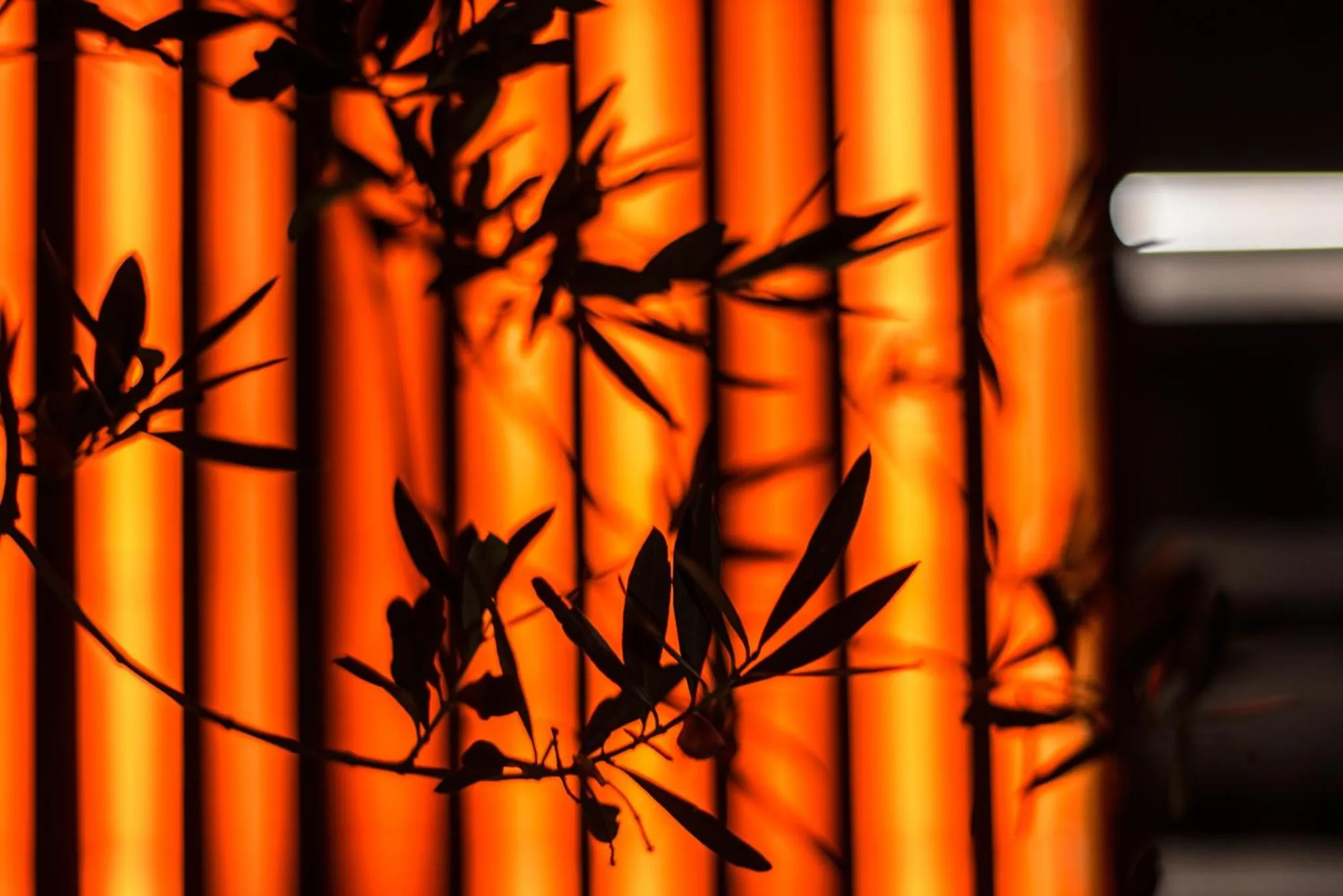 Sauna in San Colombano Suites