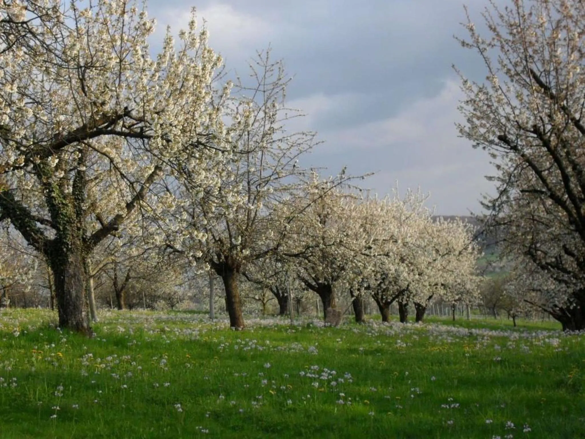 Other in Haus am Blauenbach