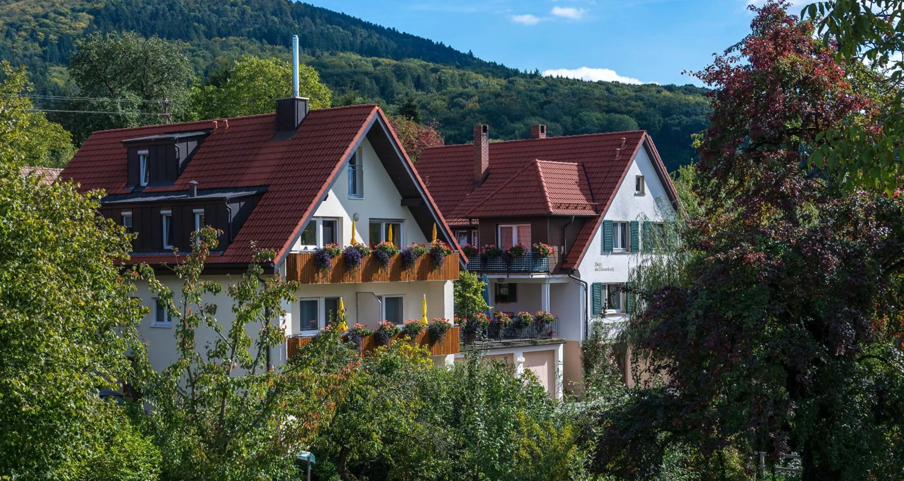 Property building in Haus am Blauenbach