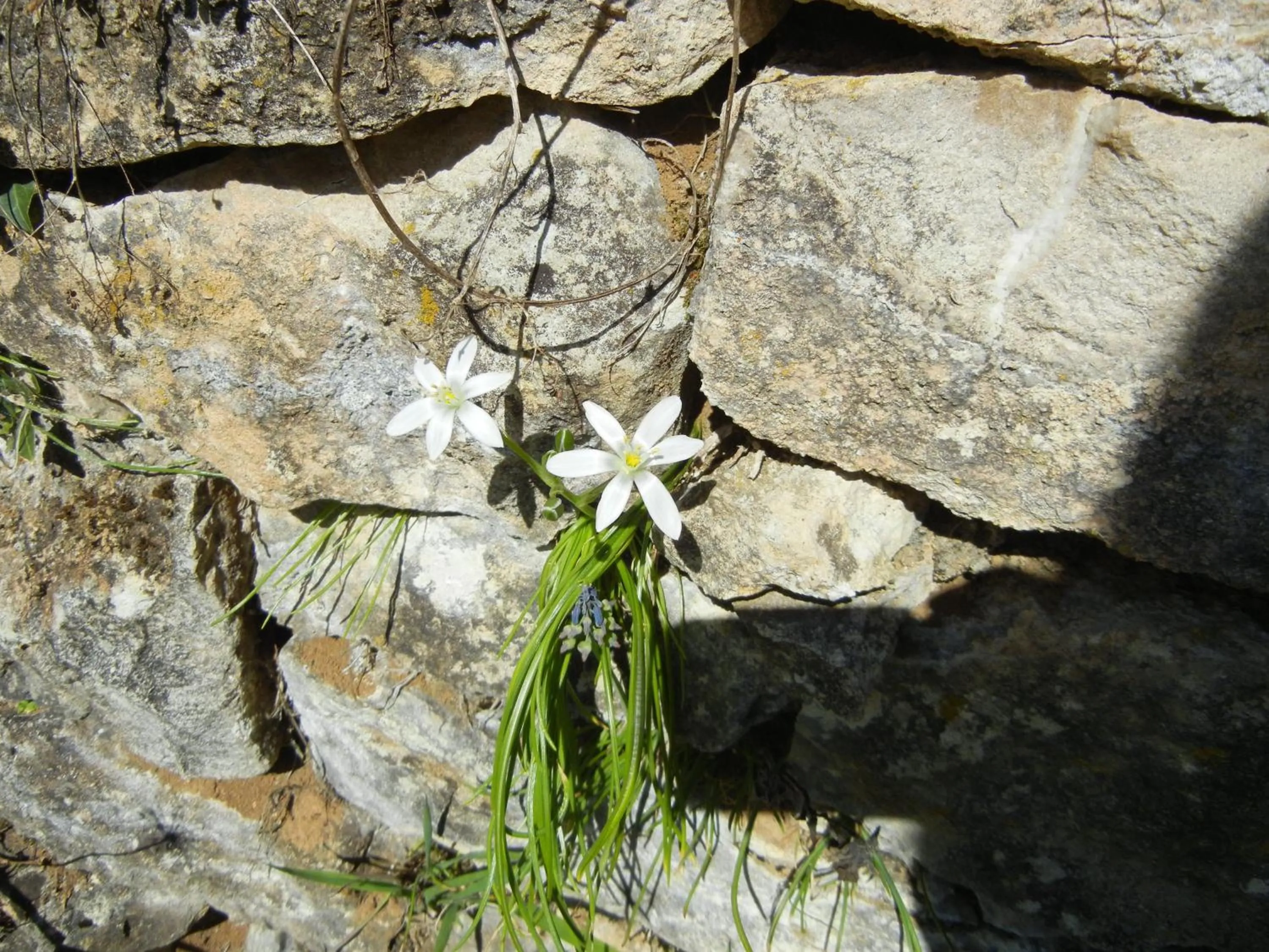 Garden in Haus am Blauenbach