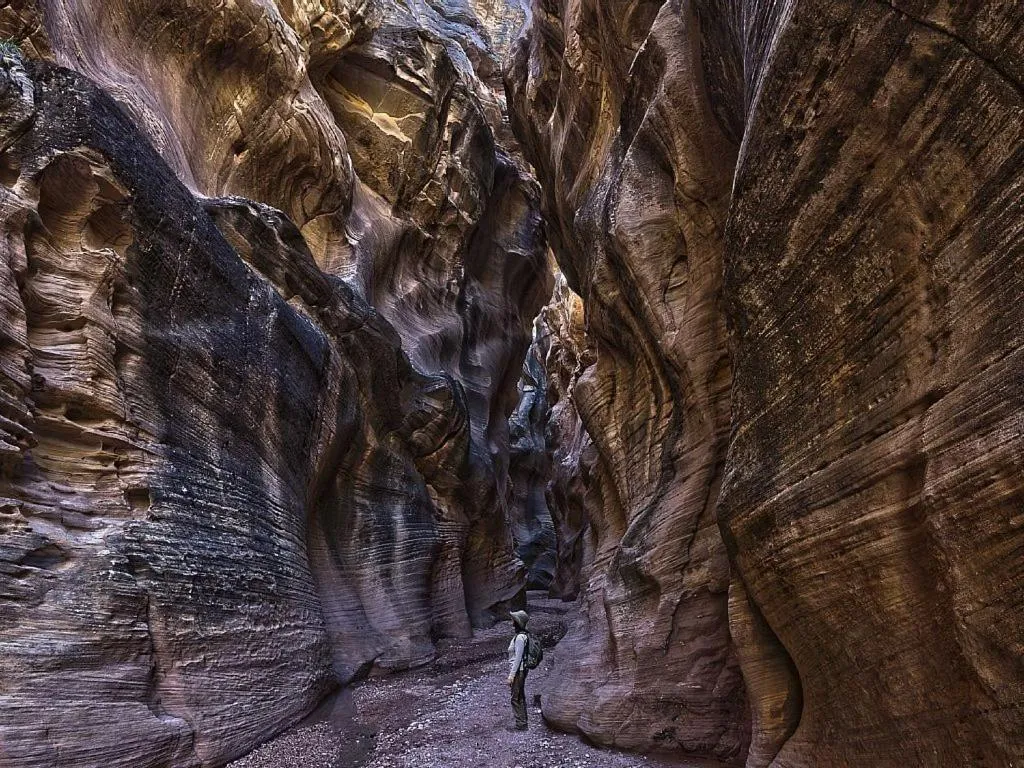 The Lookout at Sevier River