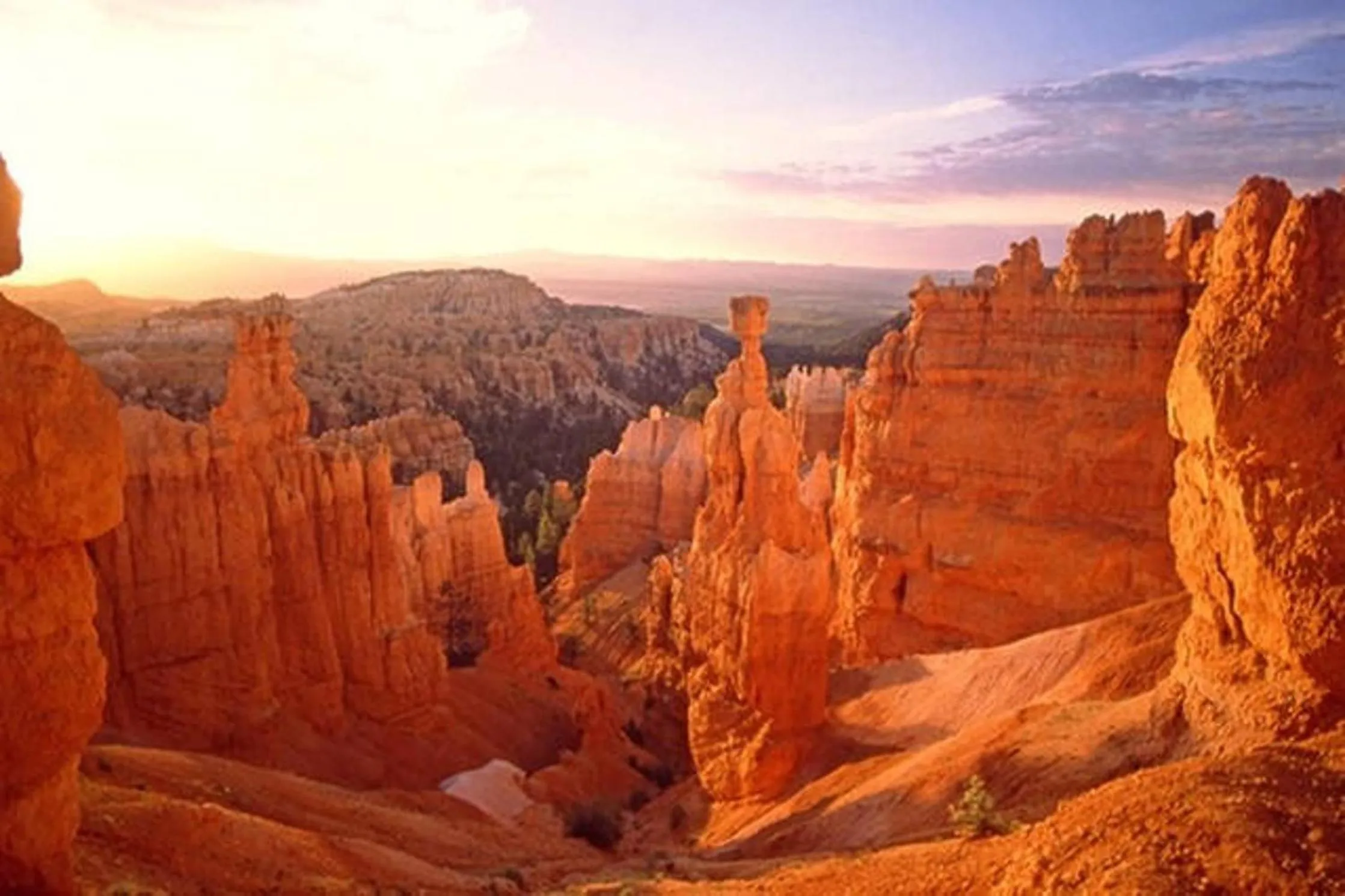 The Lookout at Sevier River