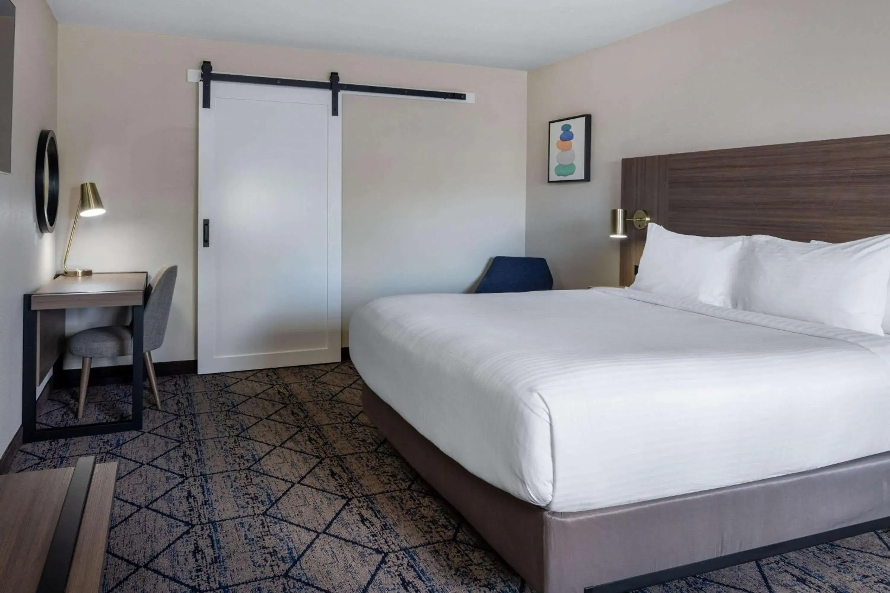 1 King Bed, Mobility Accessible Room, Bathtub w/Grab Bars, Non-Smoking in Ramada by Wyndham Modesto Yosemite Area 1 King Bed, Mobility Accessible Room, Bathtub w/Grab Bars, Non-Smoking in Ramada by Wyndham Modesto Yosemite Area