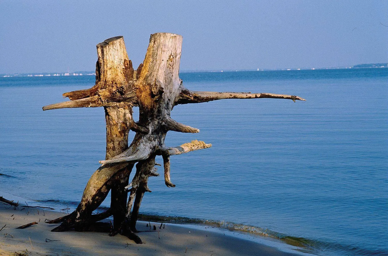 Beach in Clos des Morillons