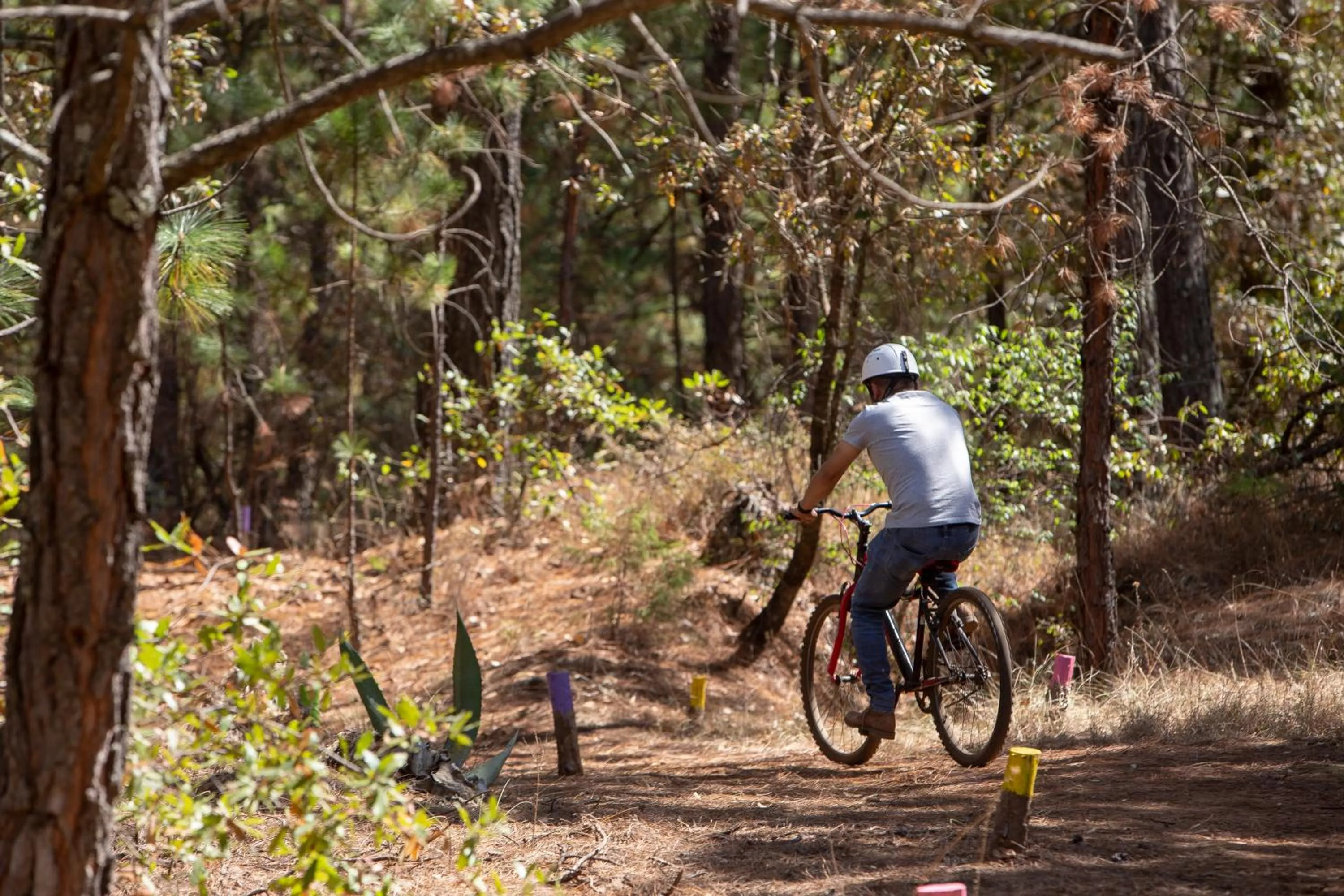 Cycling in Hotel & Glamping Huasca Sierra Verde