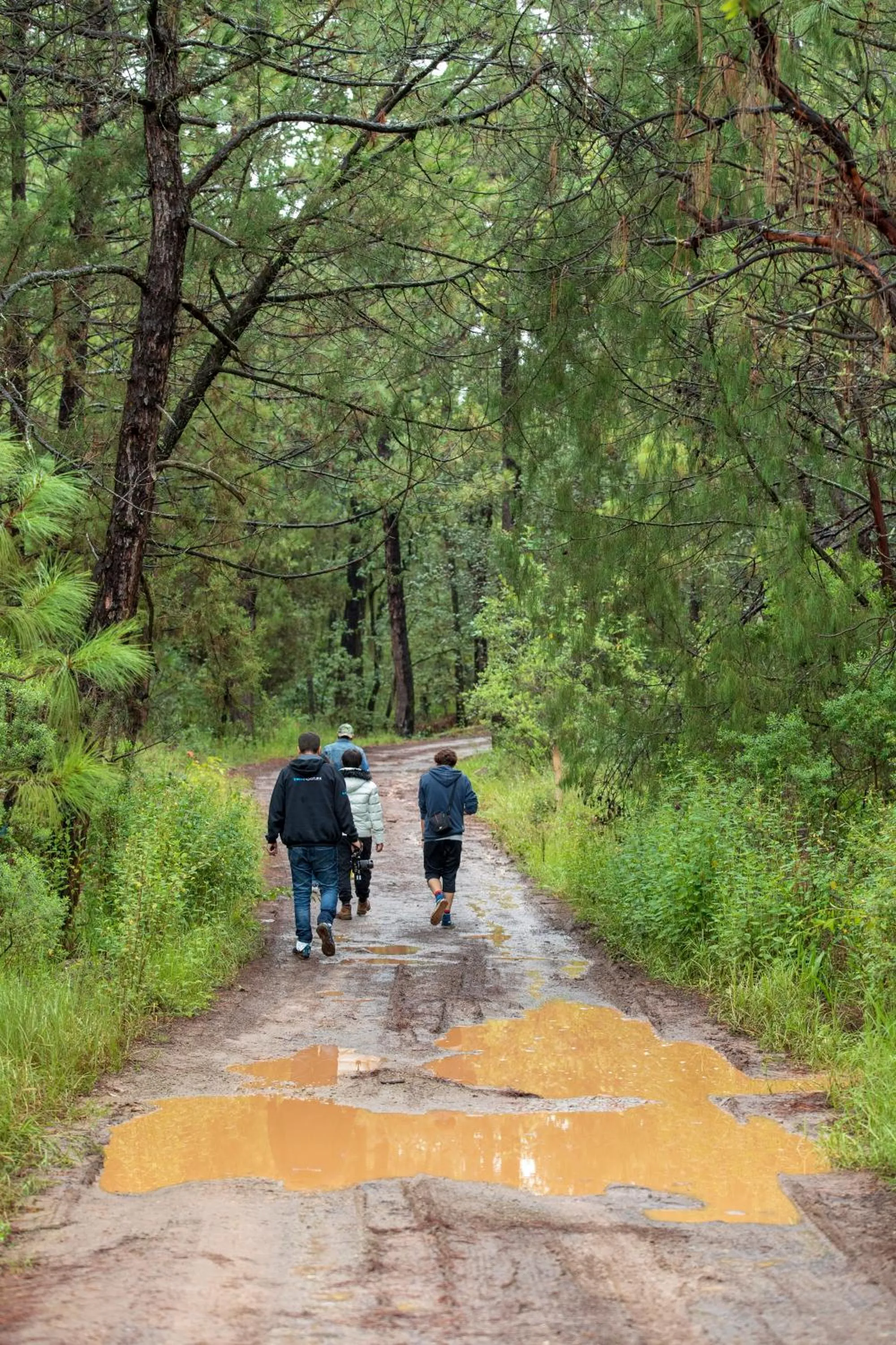 Natural landscape in Hotel & Glamping Huasca Sierra Verde