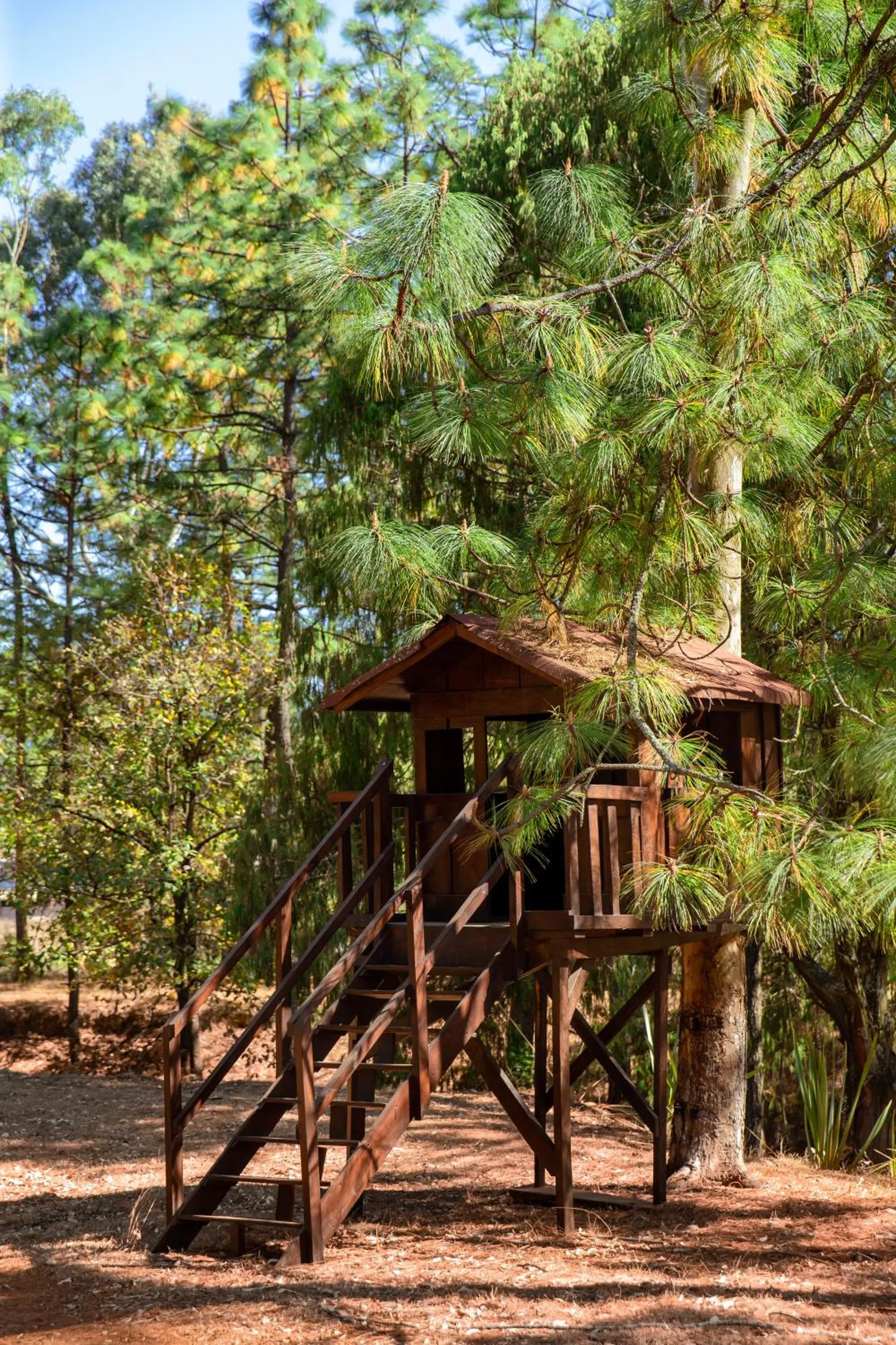 Natural landscape in Hotel & Glamping Huasca Sierra Verde