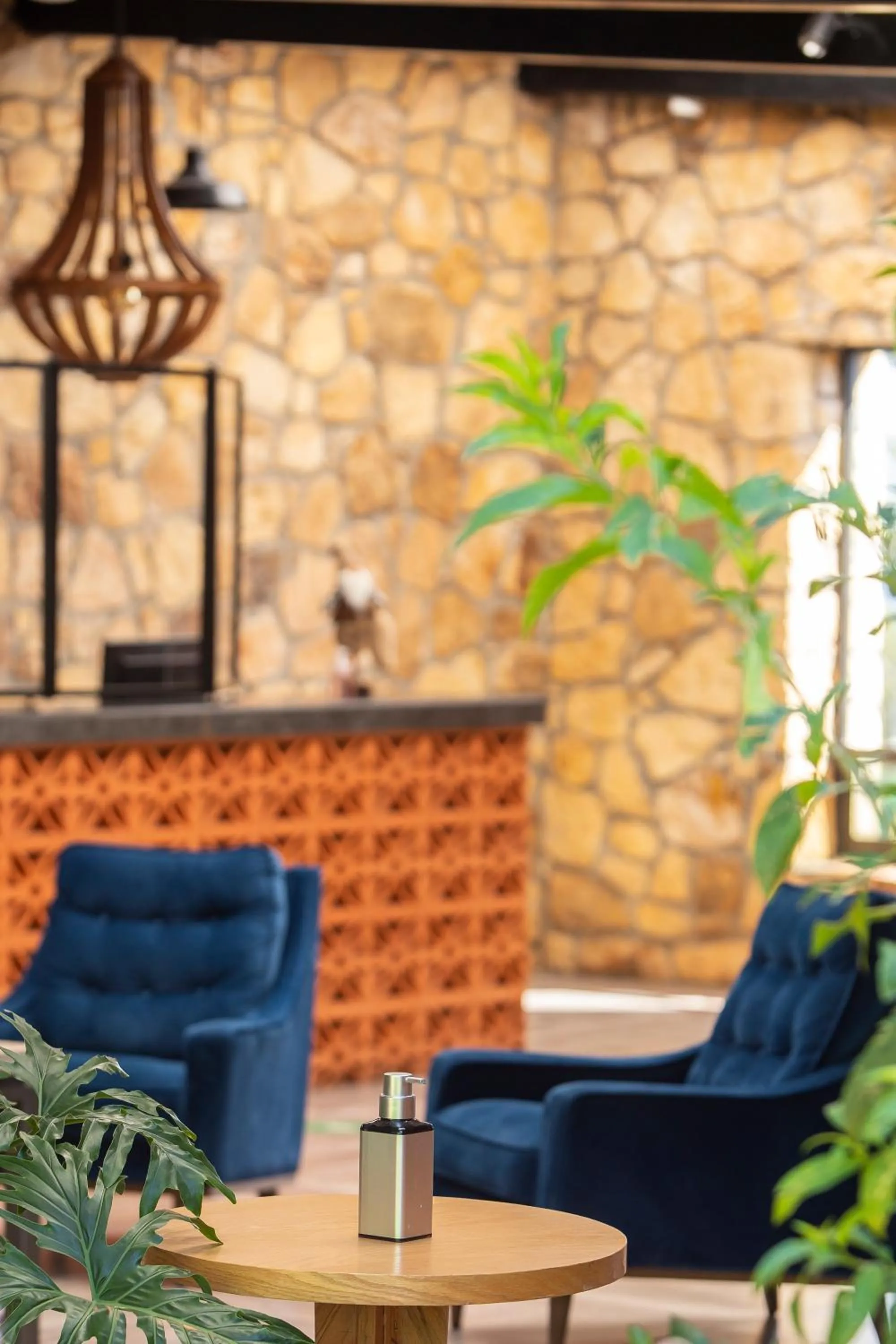 Seating area in Hotel & Glamping Huasca Sierra Verde