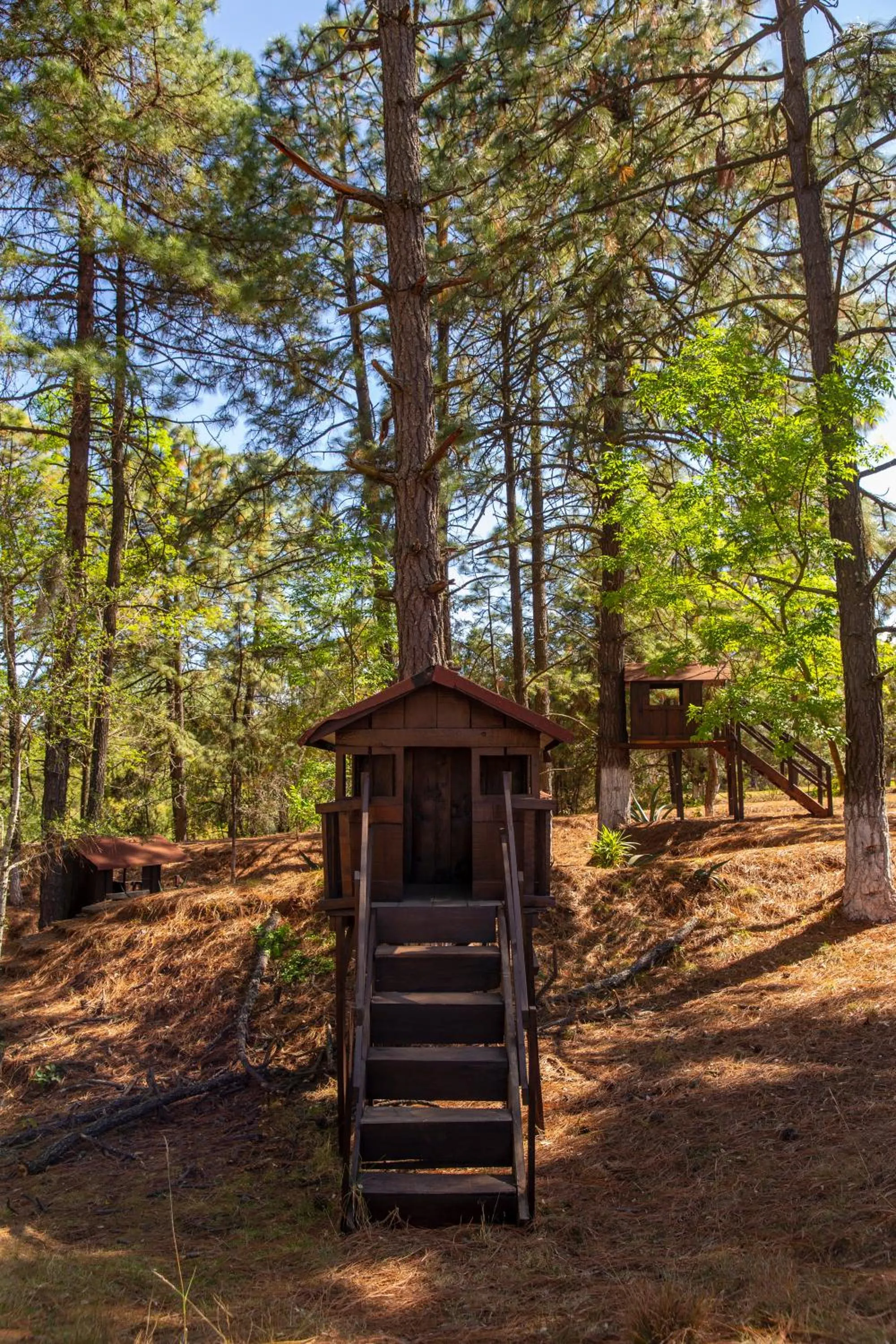 Children play ground in Hotel & Glamping Huasca Sierra Verde