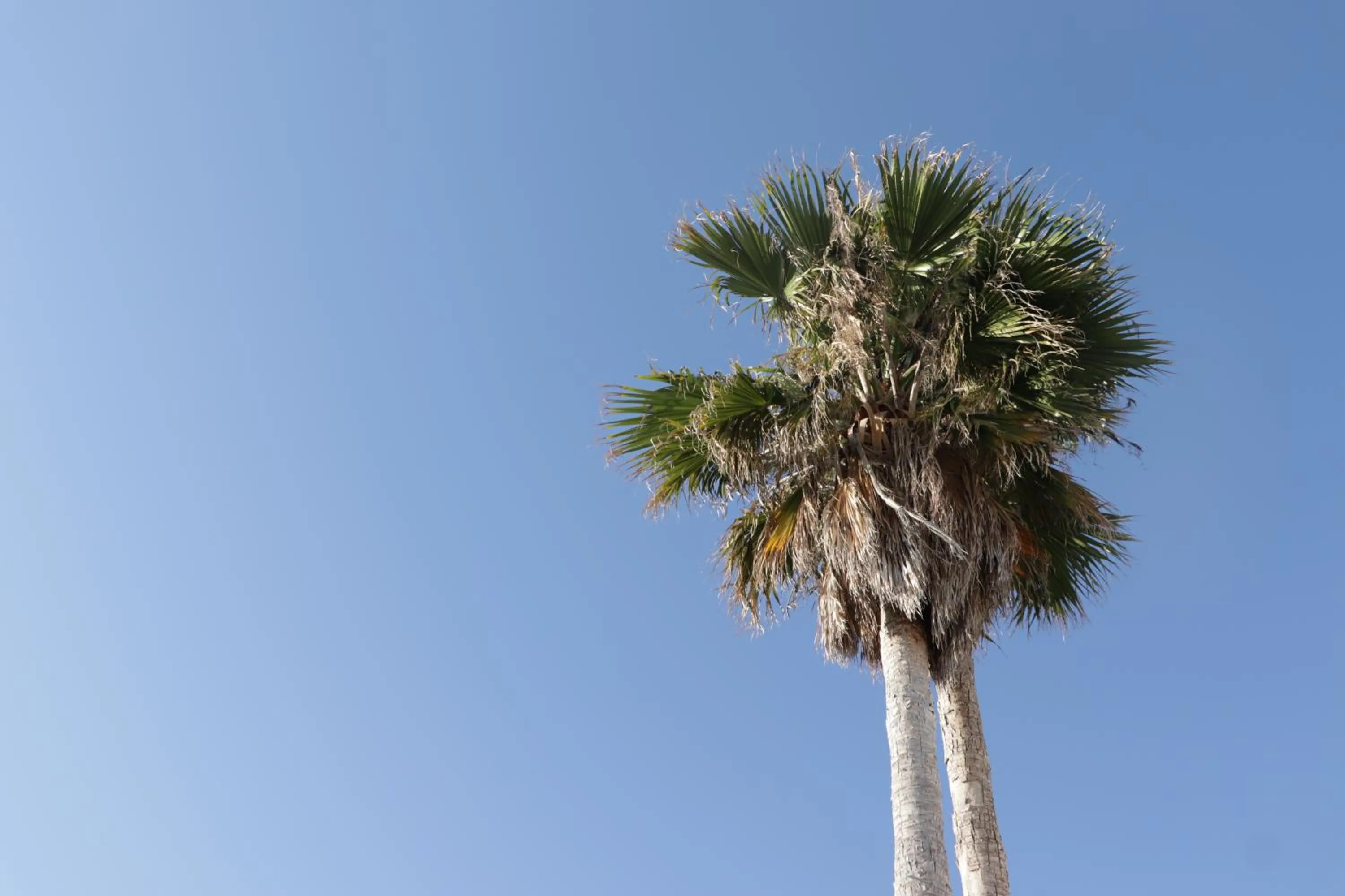 Les Sables Noirs & Spa