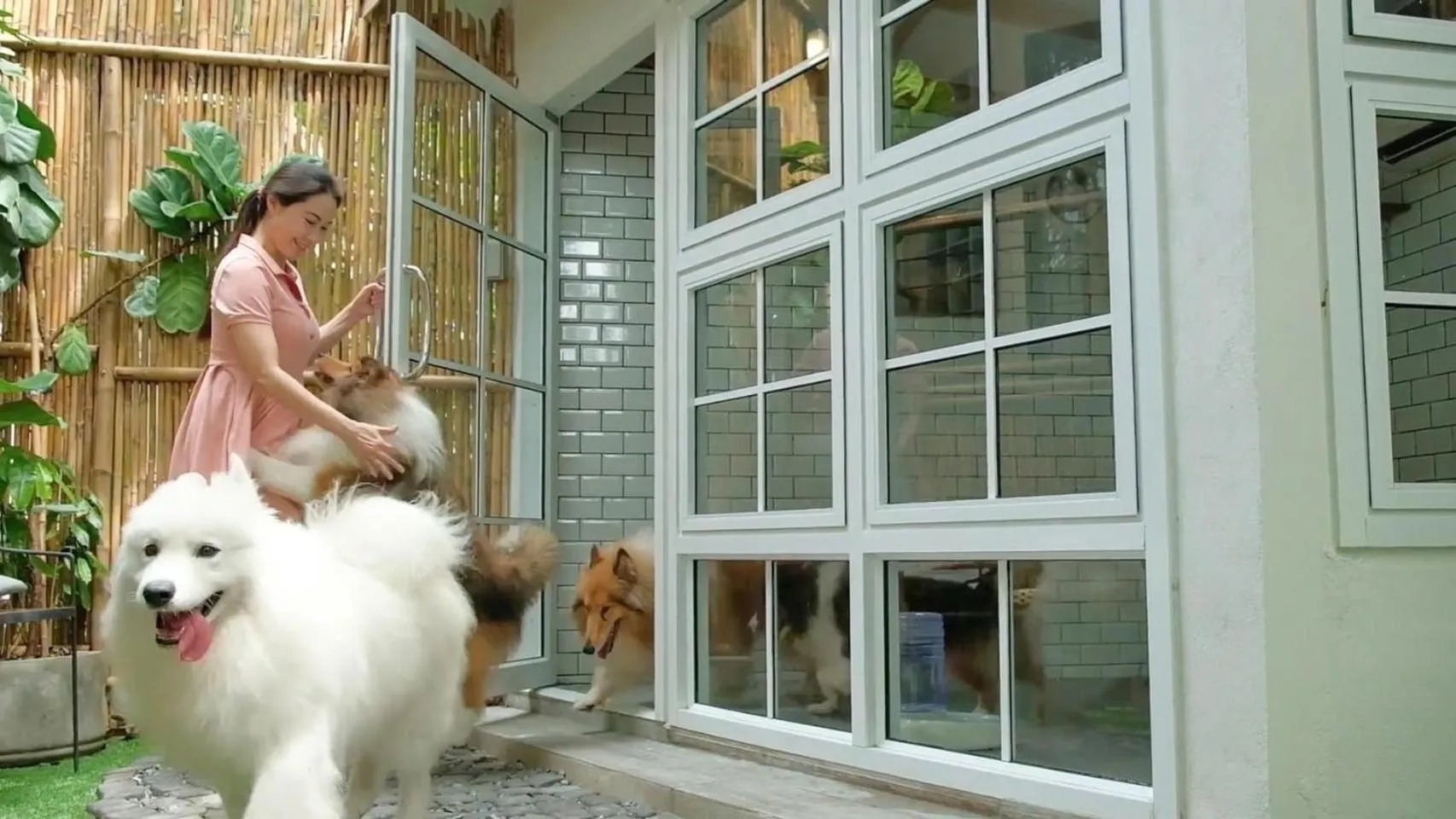 Pets in Country Lake View Hotel