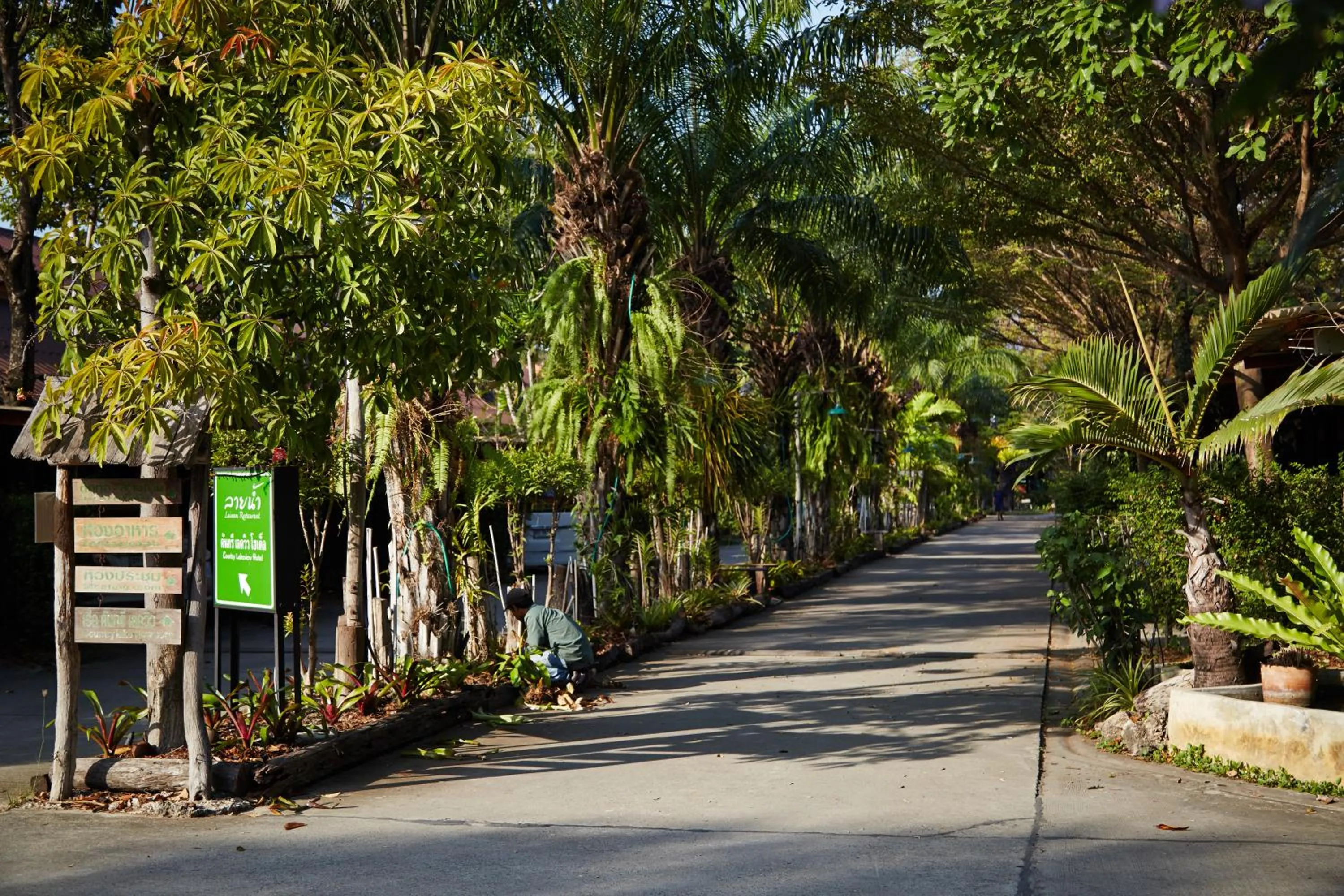 Street view in Country Lake View Hotel