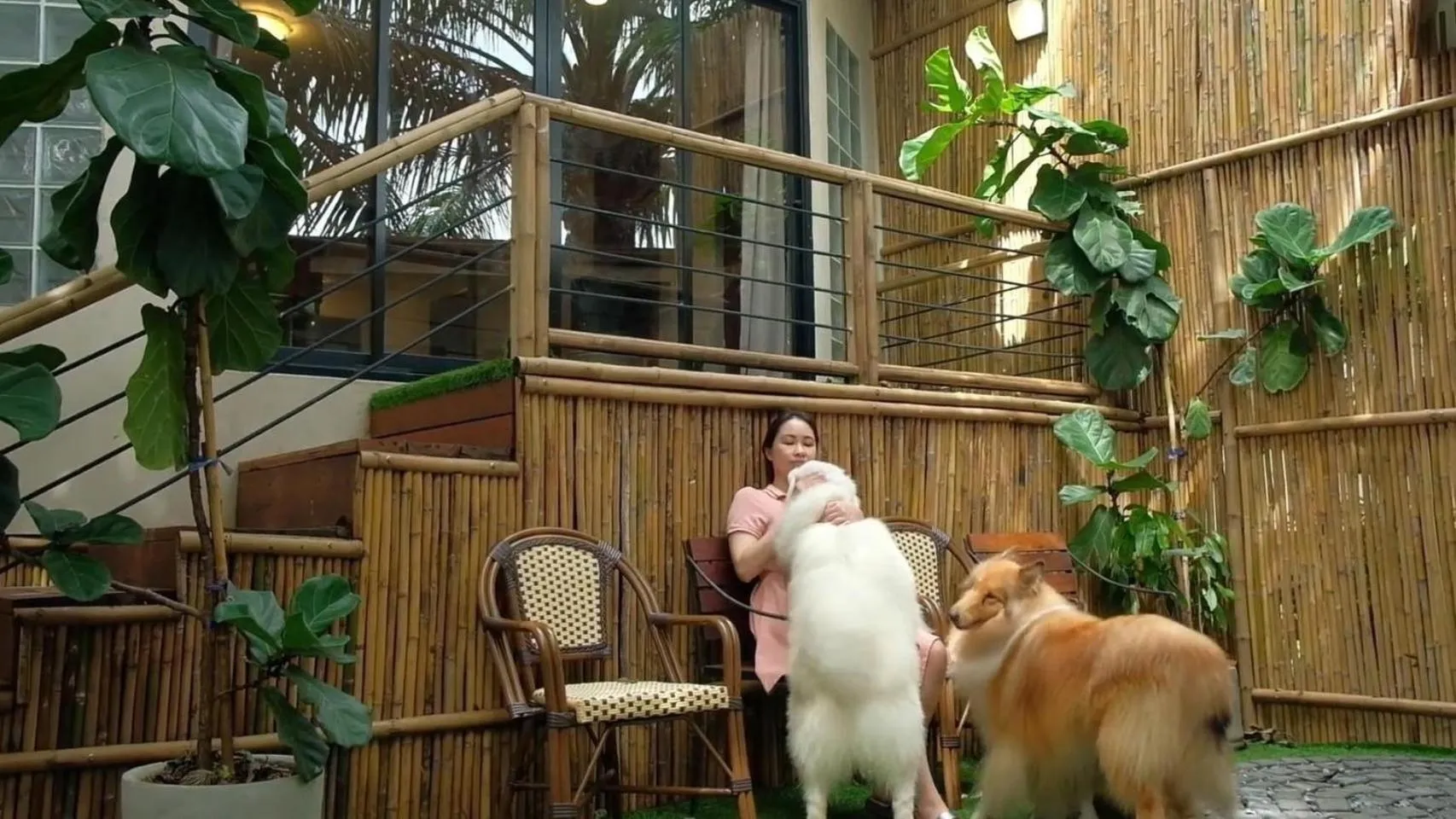 Animals in Country Lake View Hotel