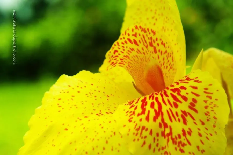 Property building in The Duyan House at Sinagtala Resort