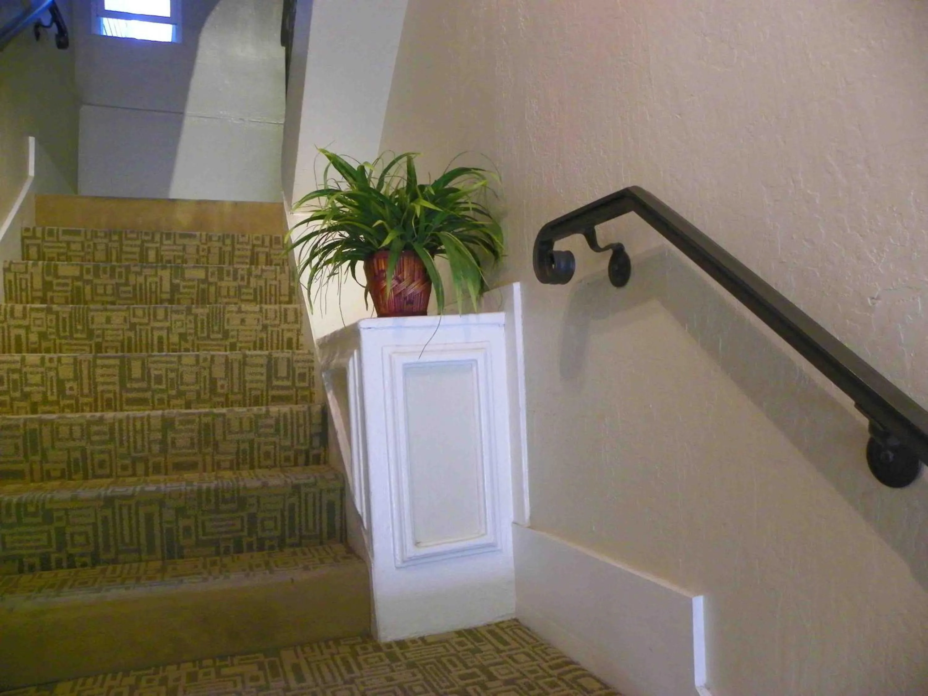 Lobby or reception in Casa Loma Hotel