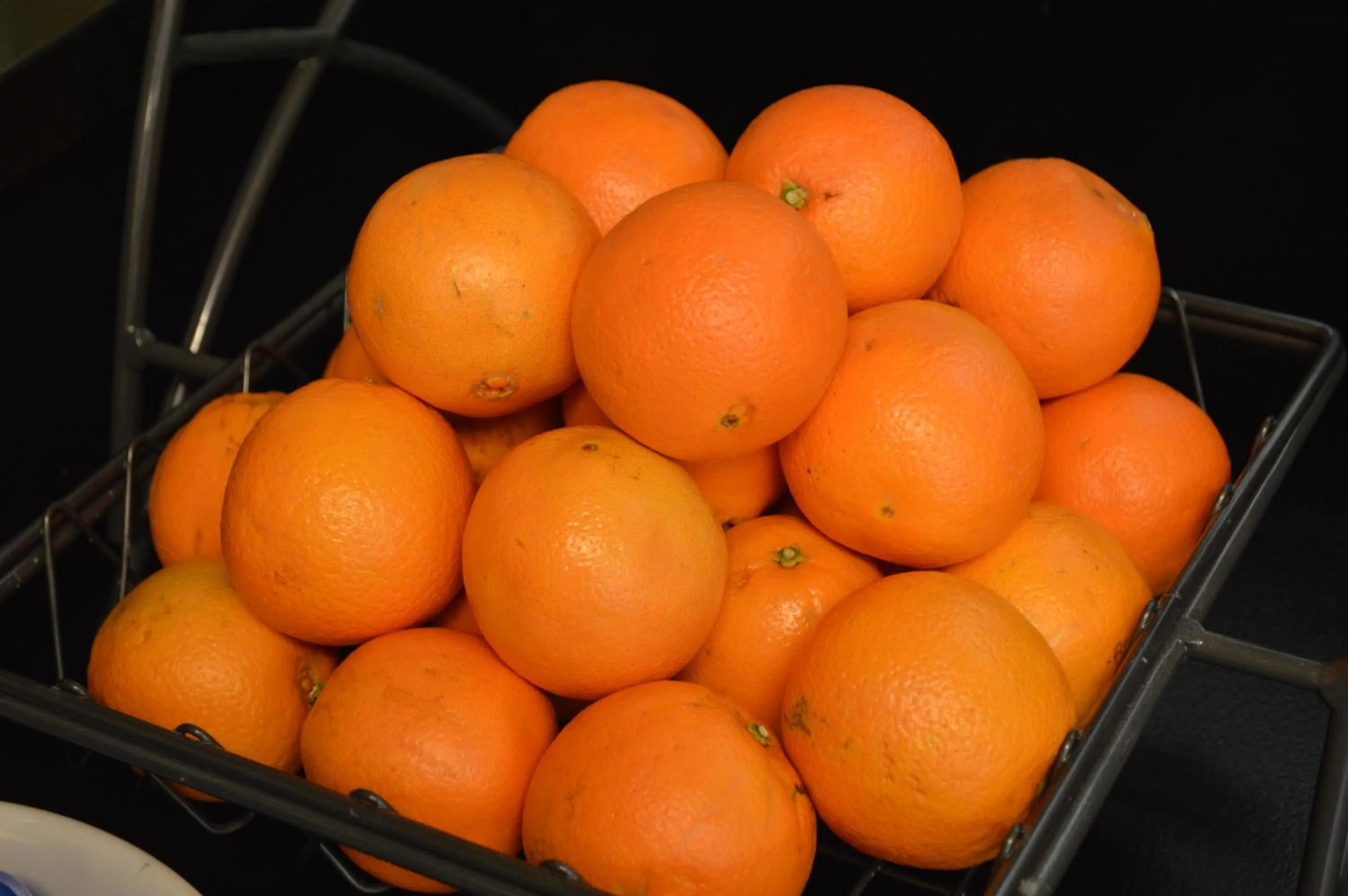 Buffet breakfast in Baymont by Wyndham San Diego Downtown