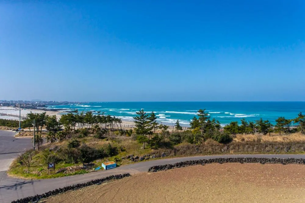 Neighbourhood in 오후여섯시펜션