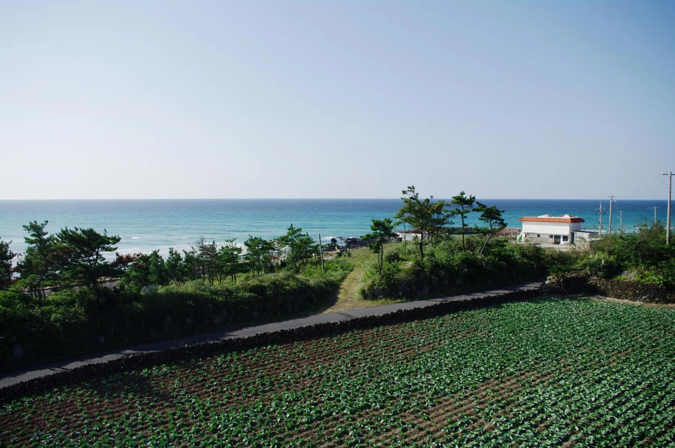 Natural landscape in 오후여섯시펜션