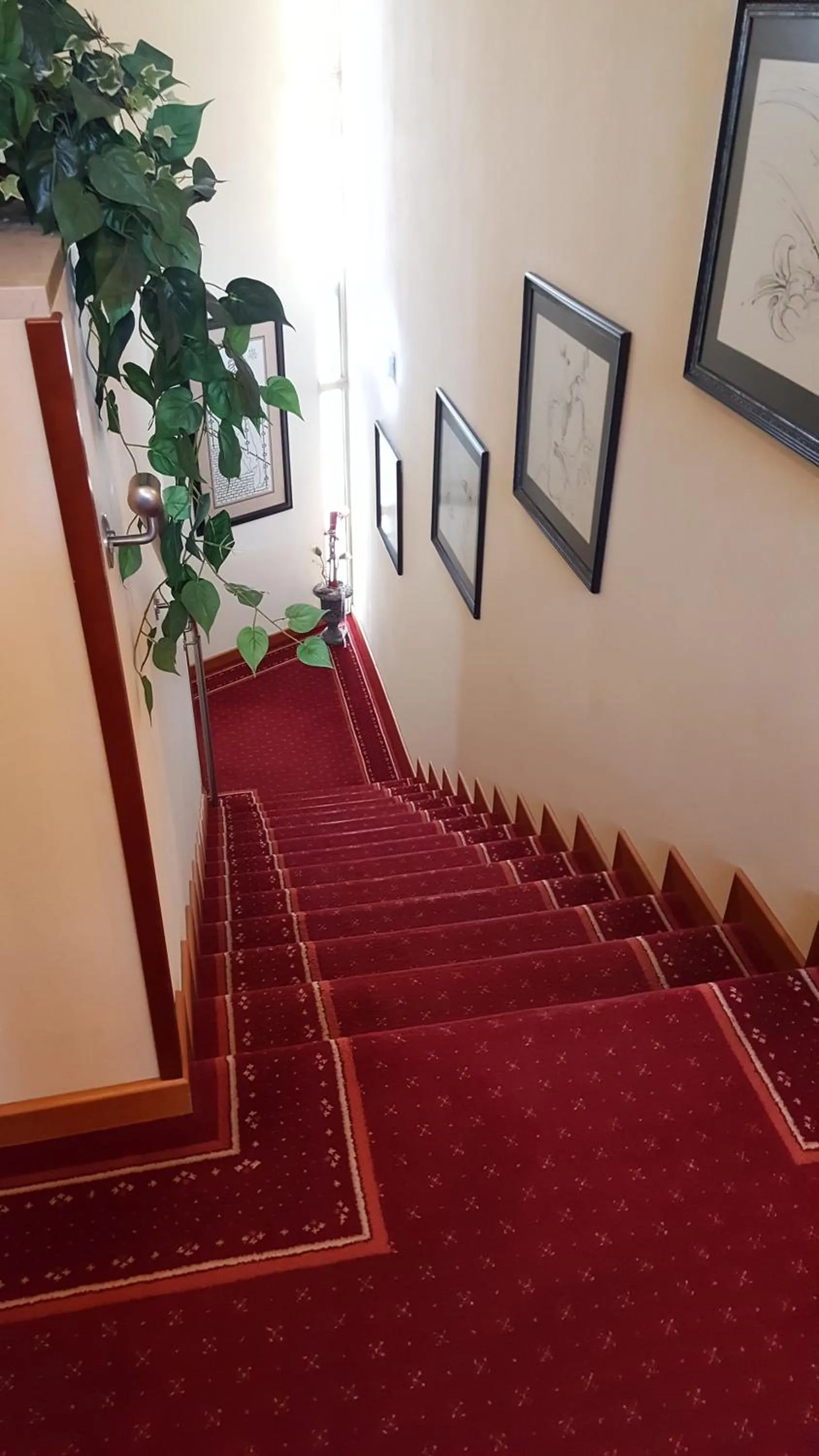 Other, Bed in Paul's Hotel