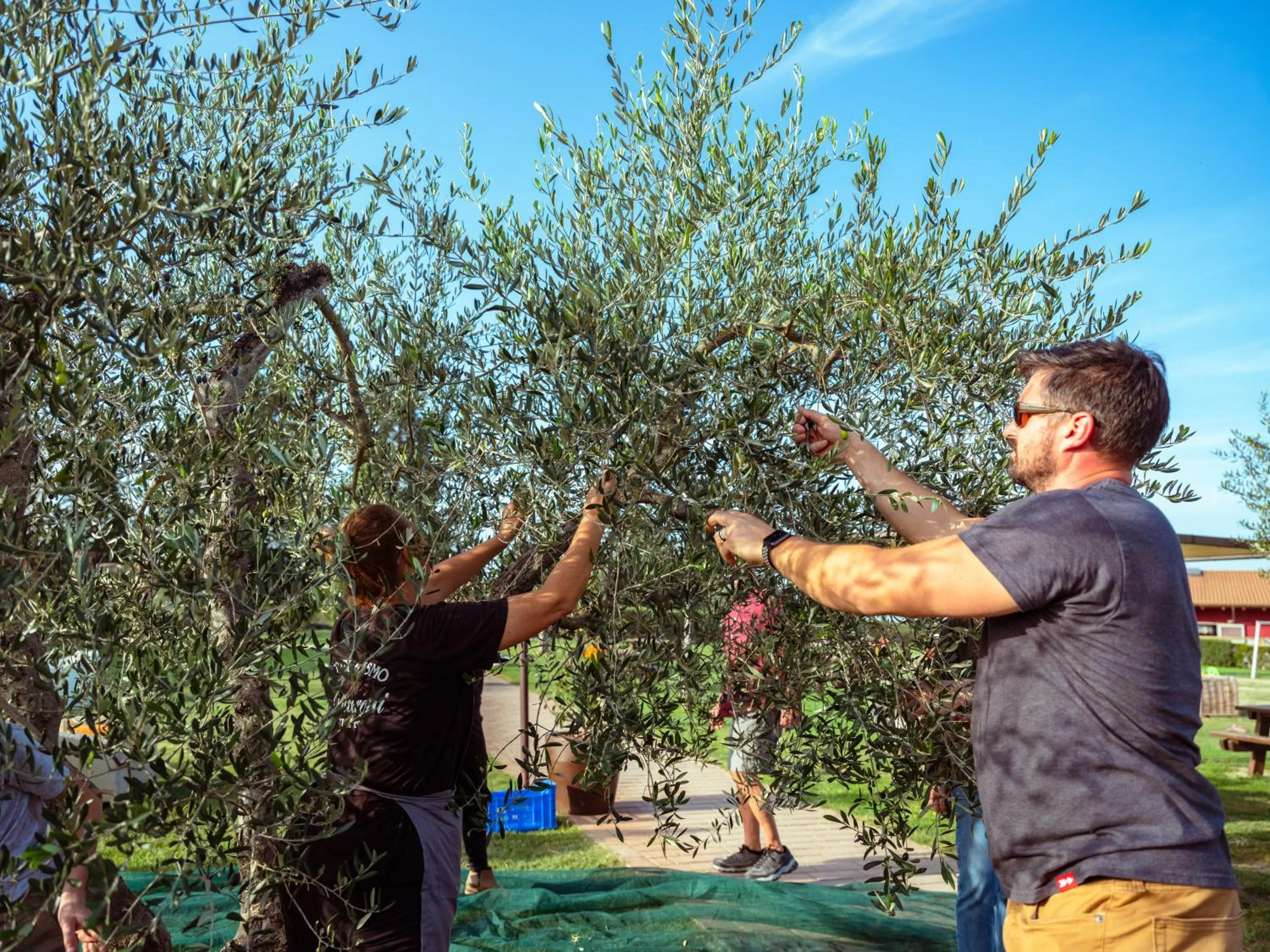 Spring in B&B Diacceroni