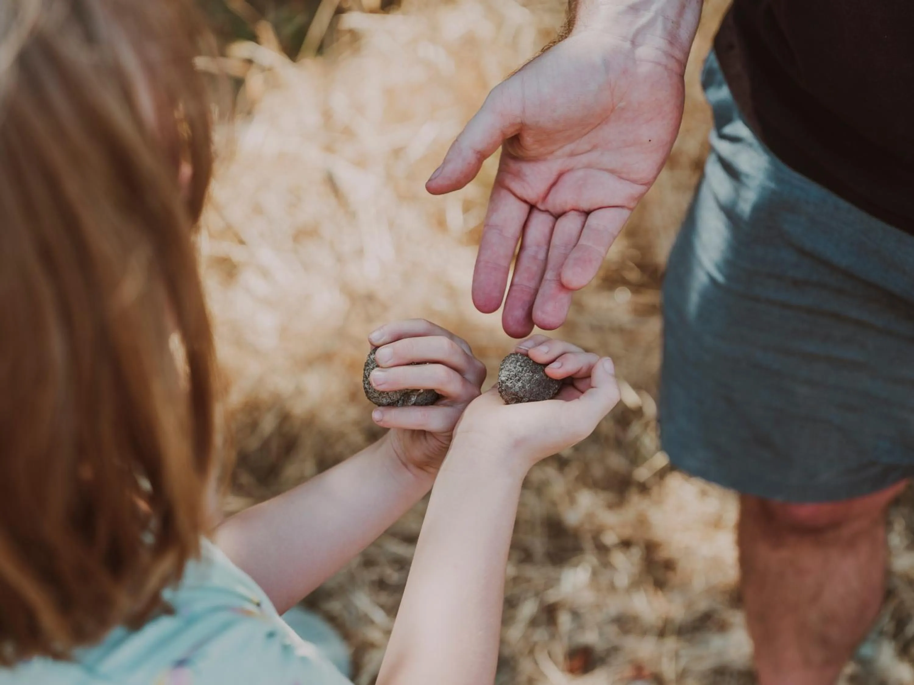 Food close-up in Agriturismo Pompilia