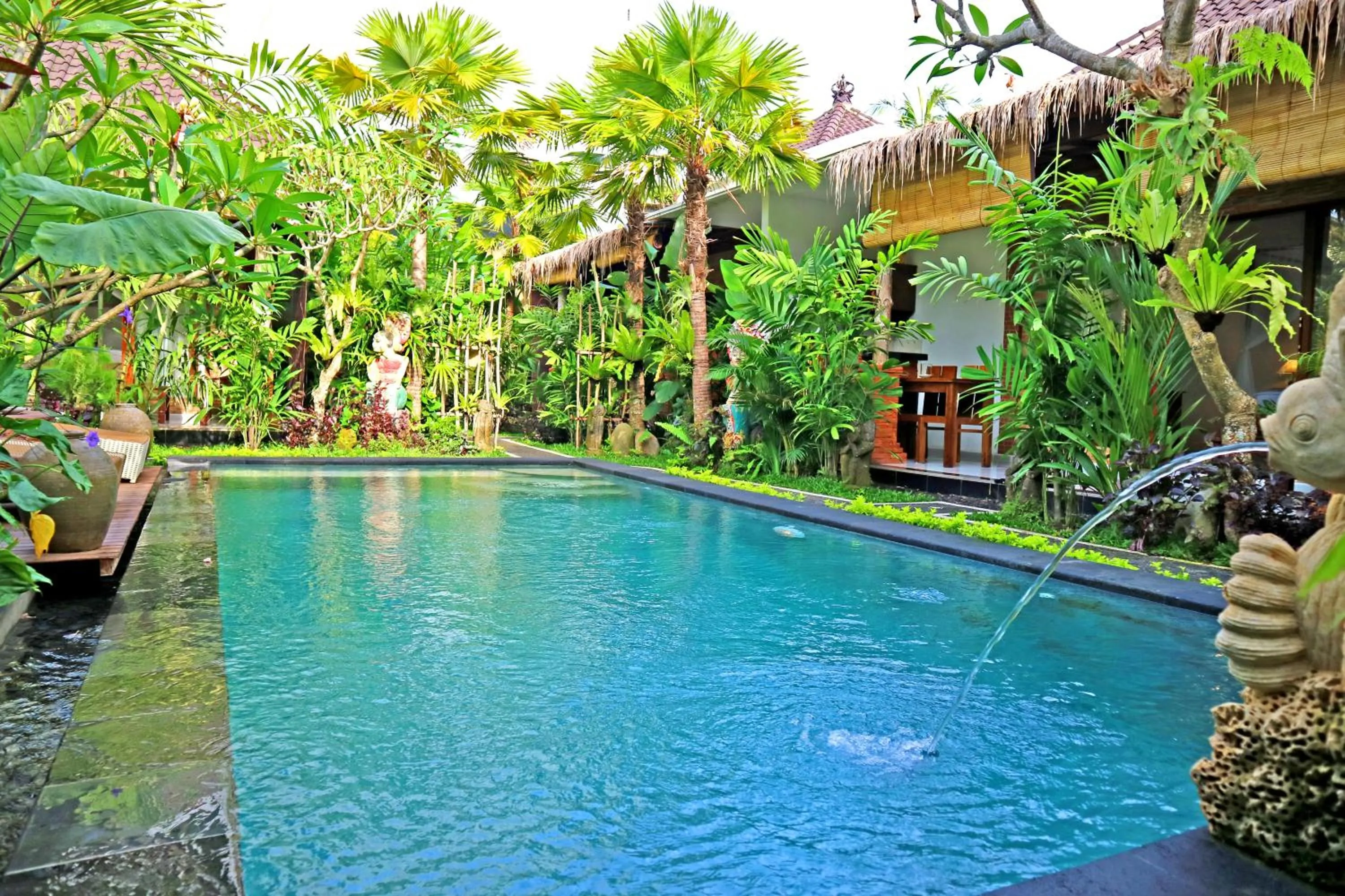 Swimming pool in Way Ubud
