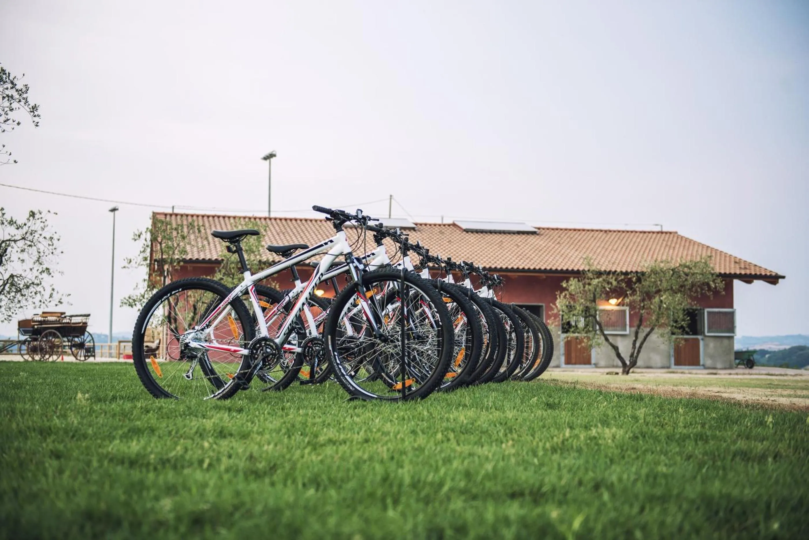 Day in Agriturismo Panieracci