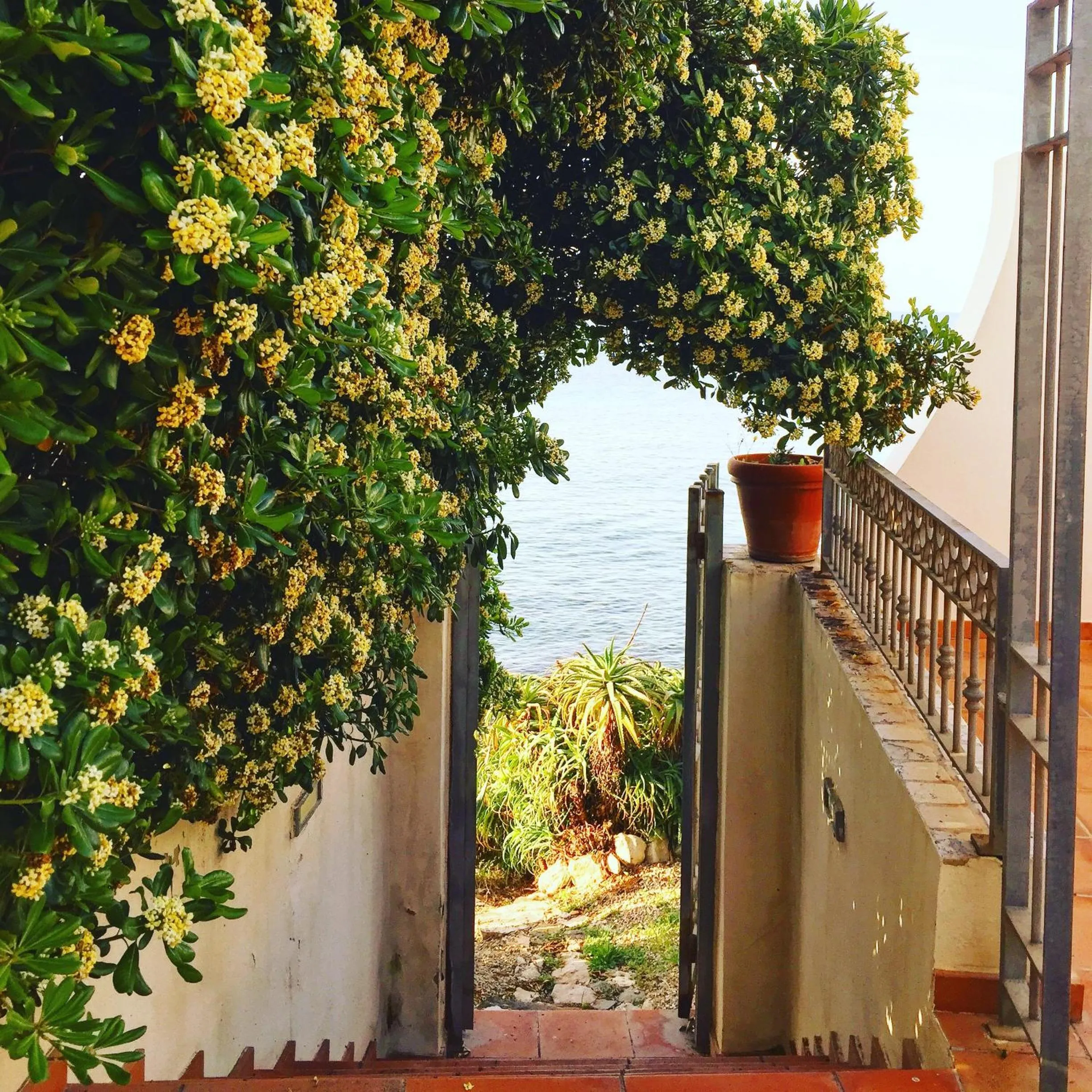 Property building in Villa Grachira