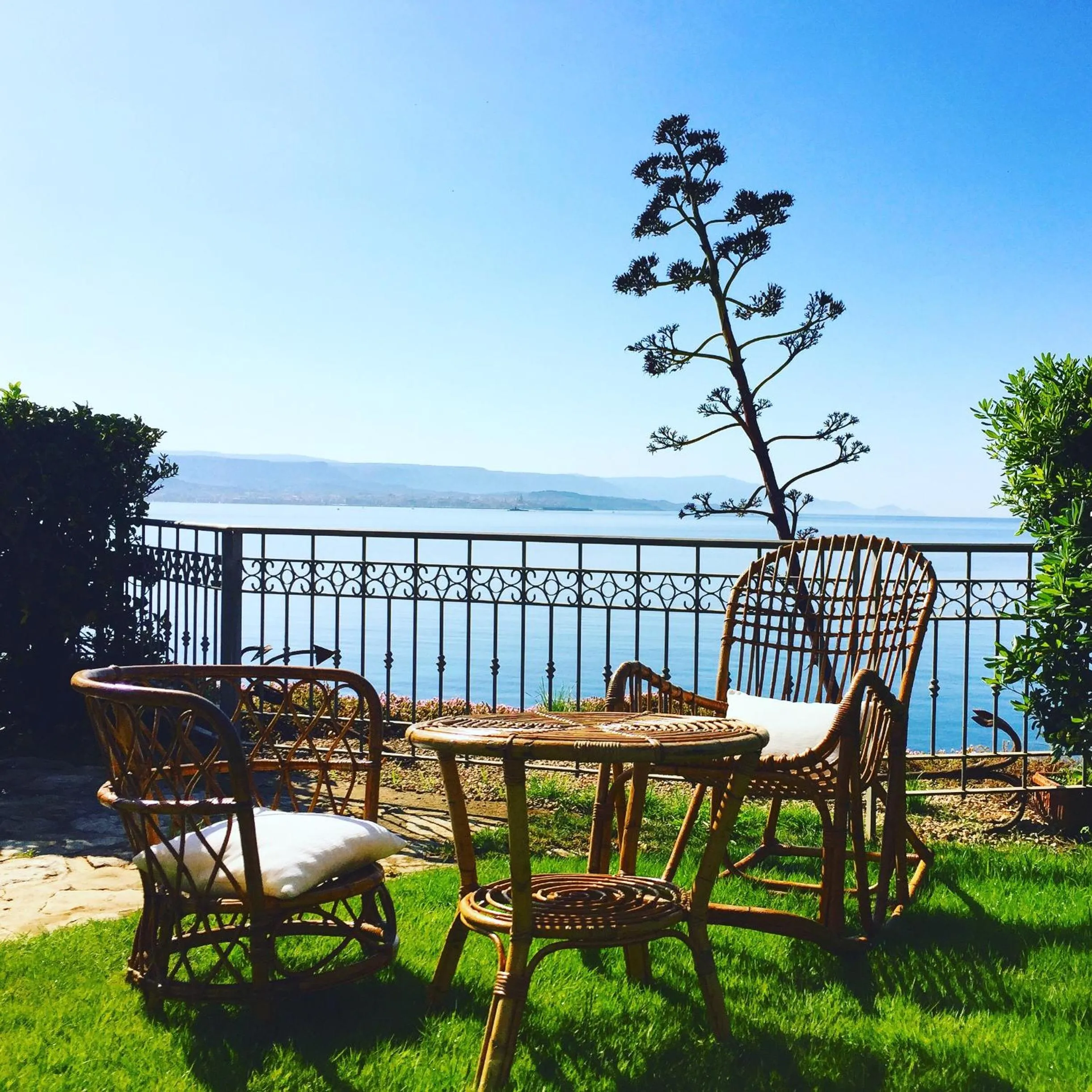 Garden in Villa Grachira