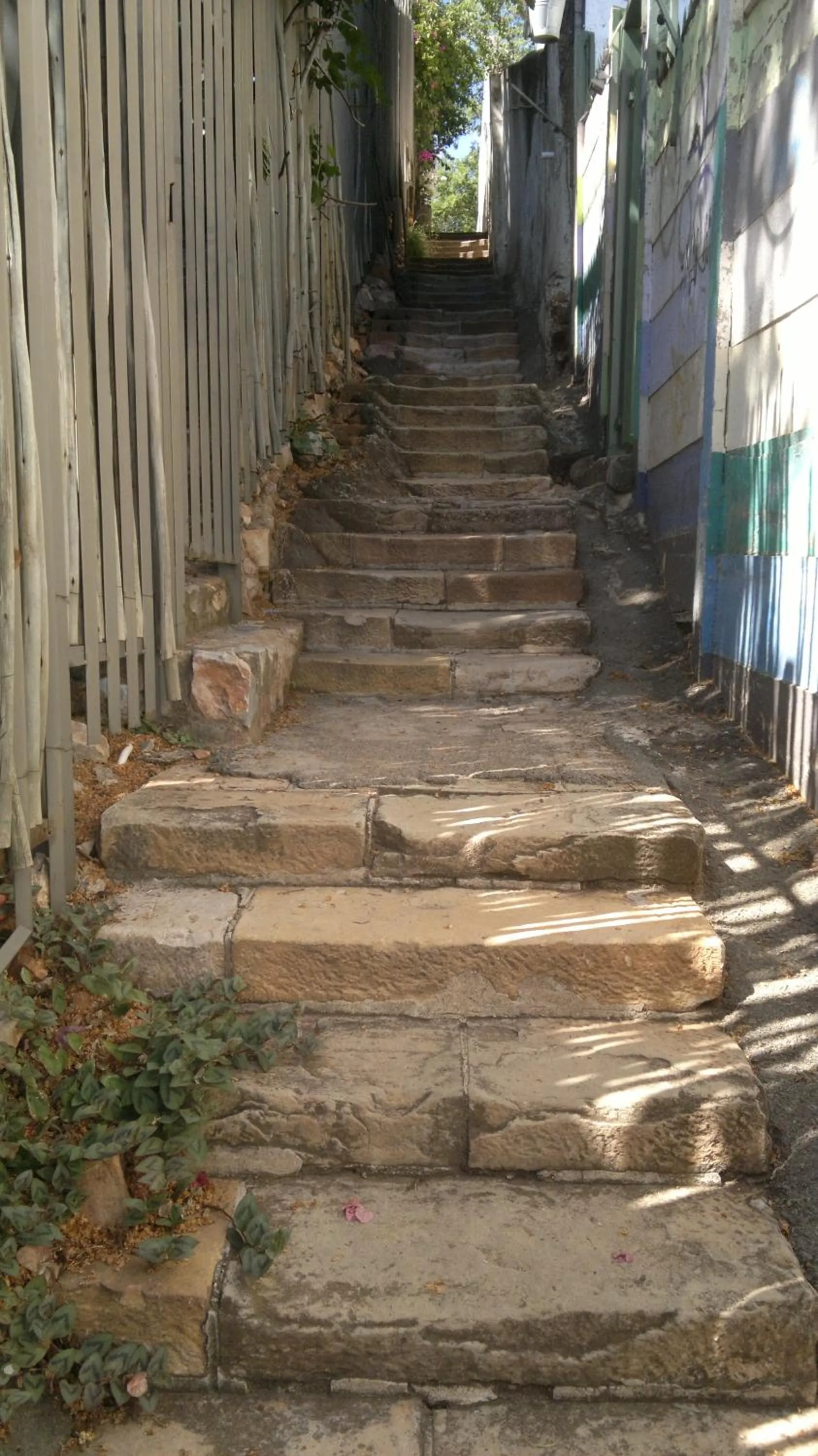 Day in Agterplaas Guesthouse Pty Ltd