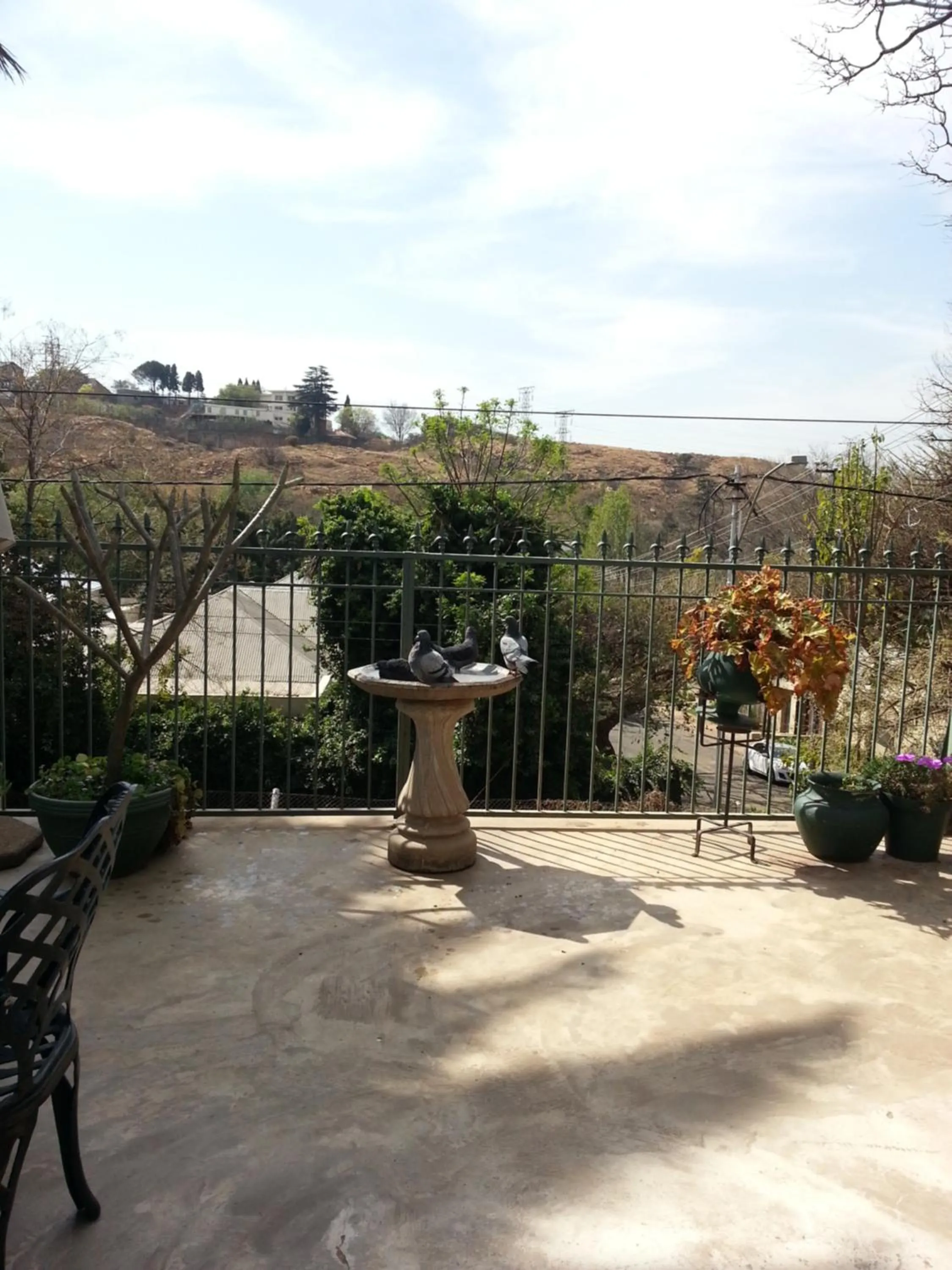 Balcony/Terrace in Agterplaas Guesthouse Pty Ltd