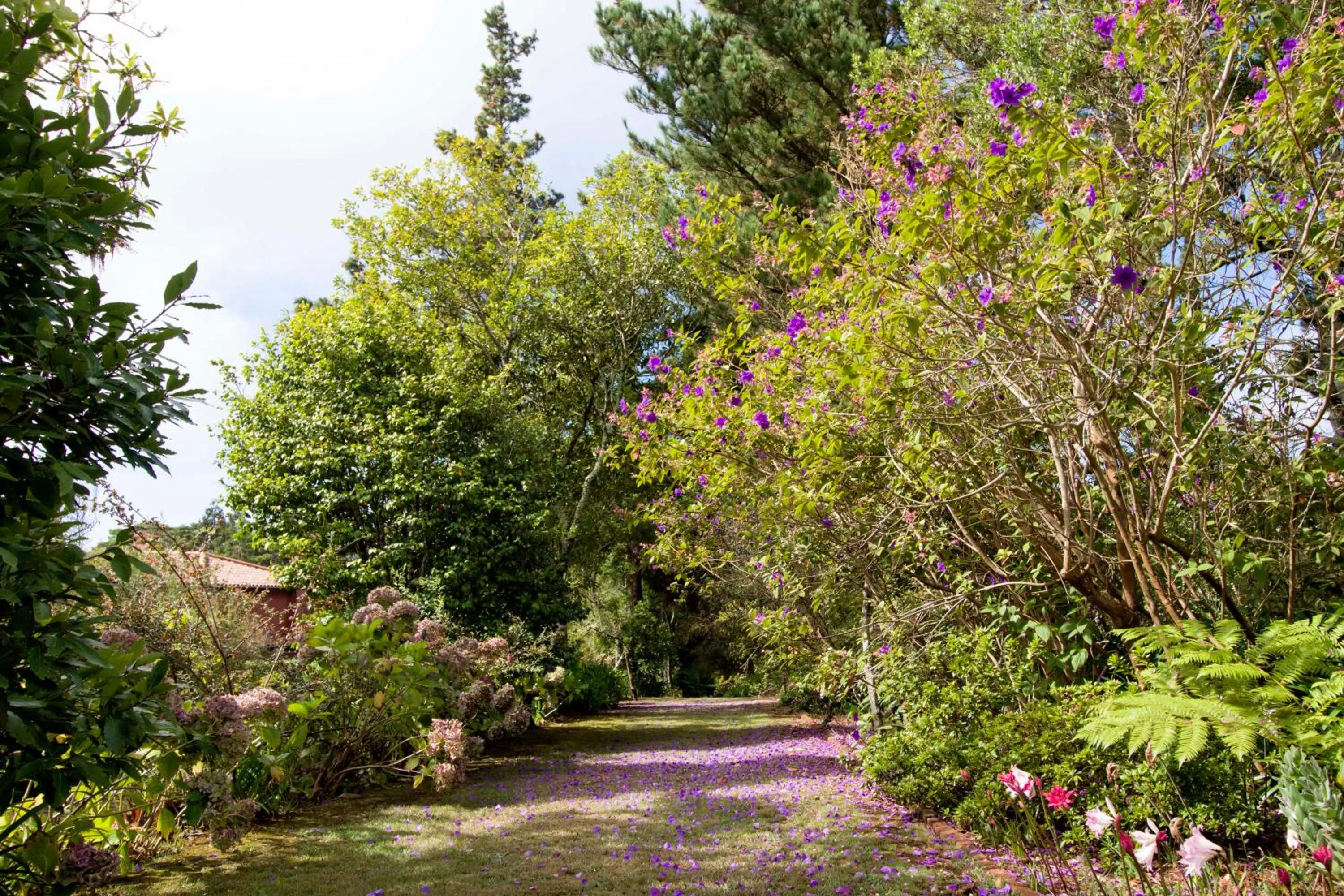 Garden in Quinta Santo Antonio Da Serra