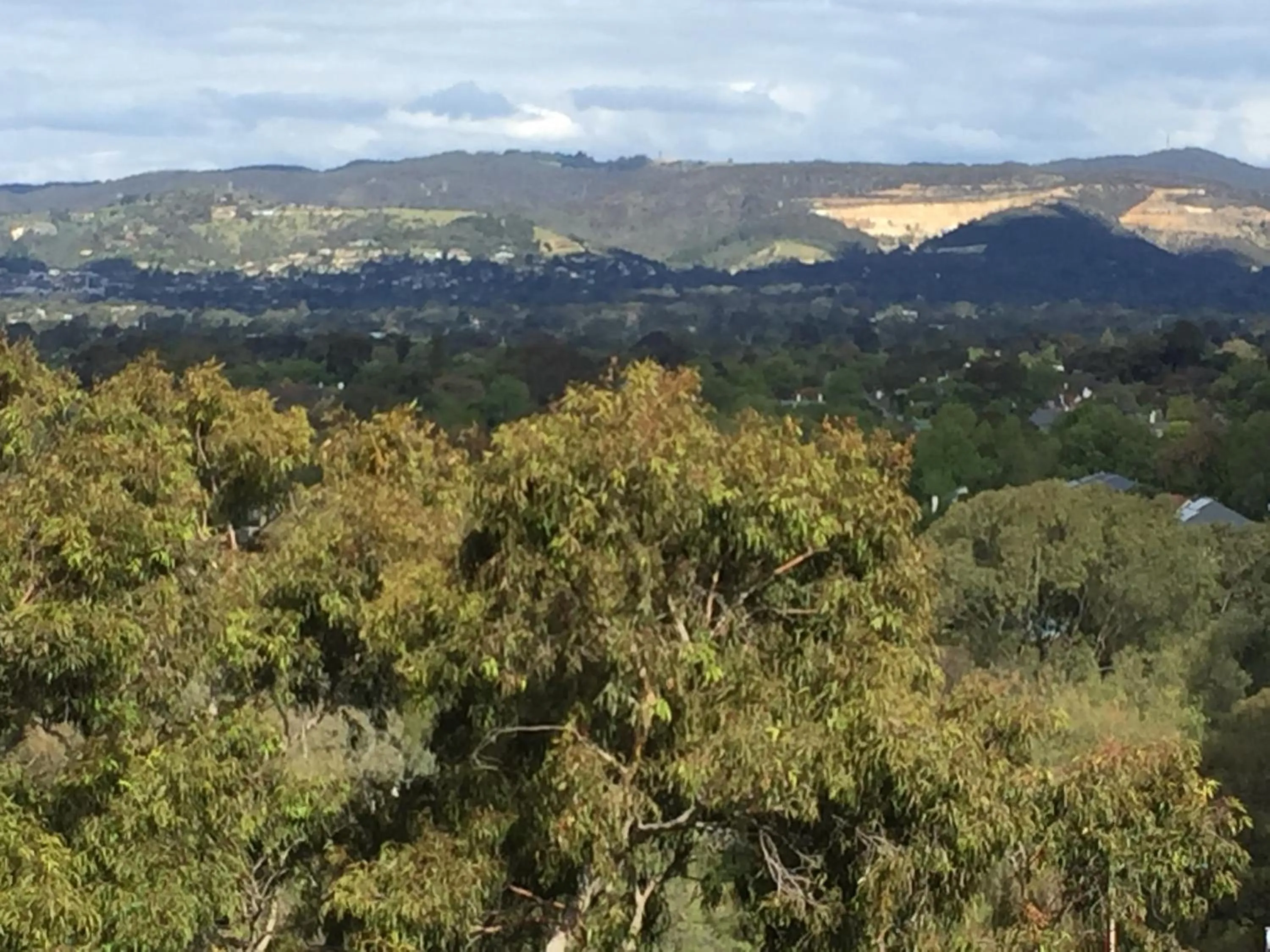 Tasha's Apartments on Warwick