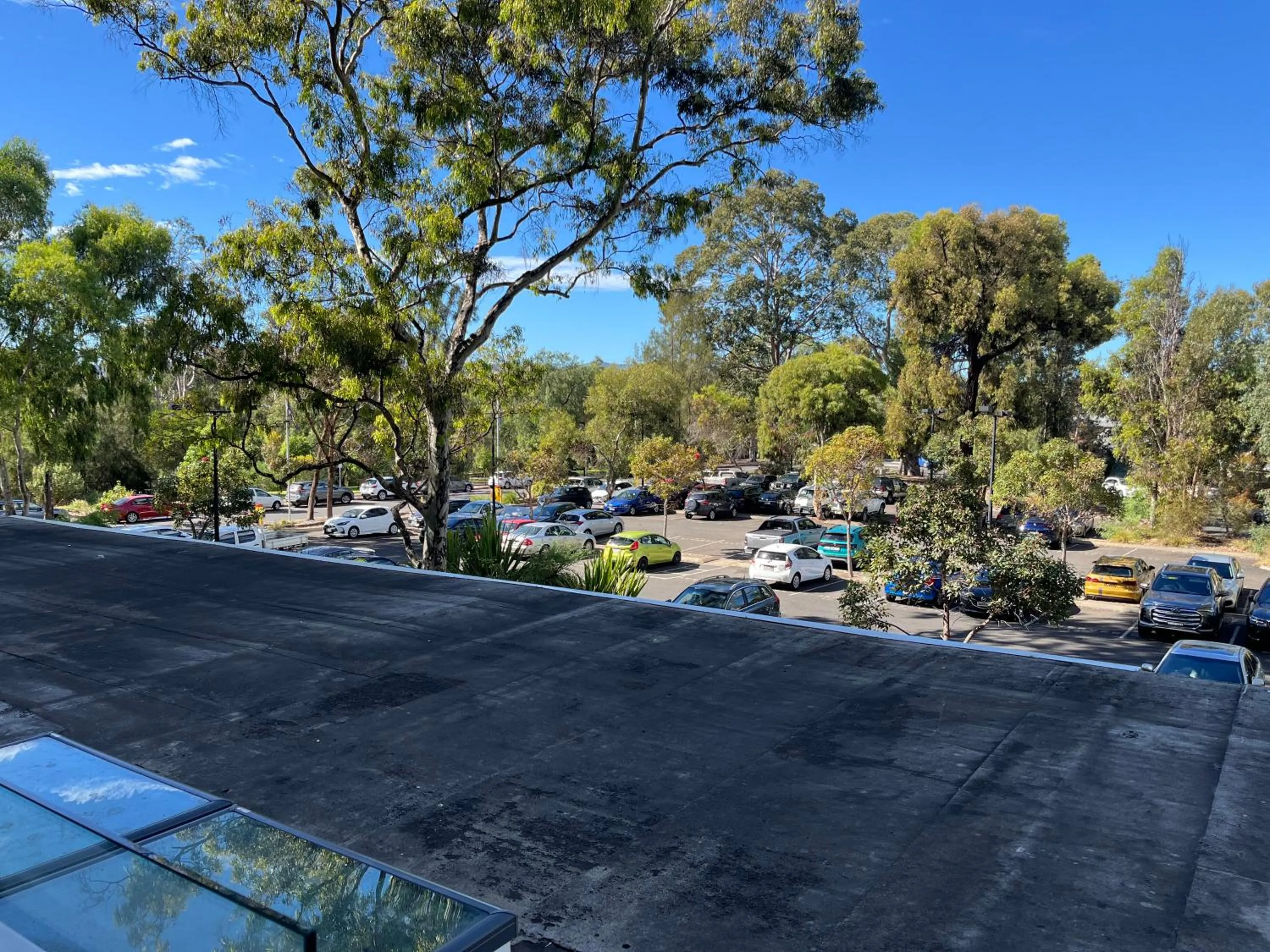 Tasha's Apartments on Warwick