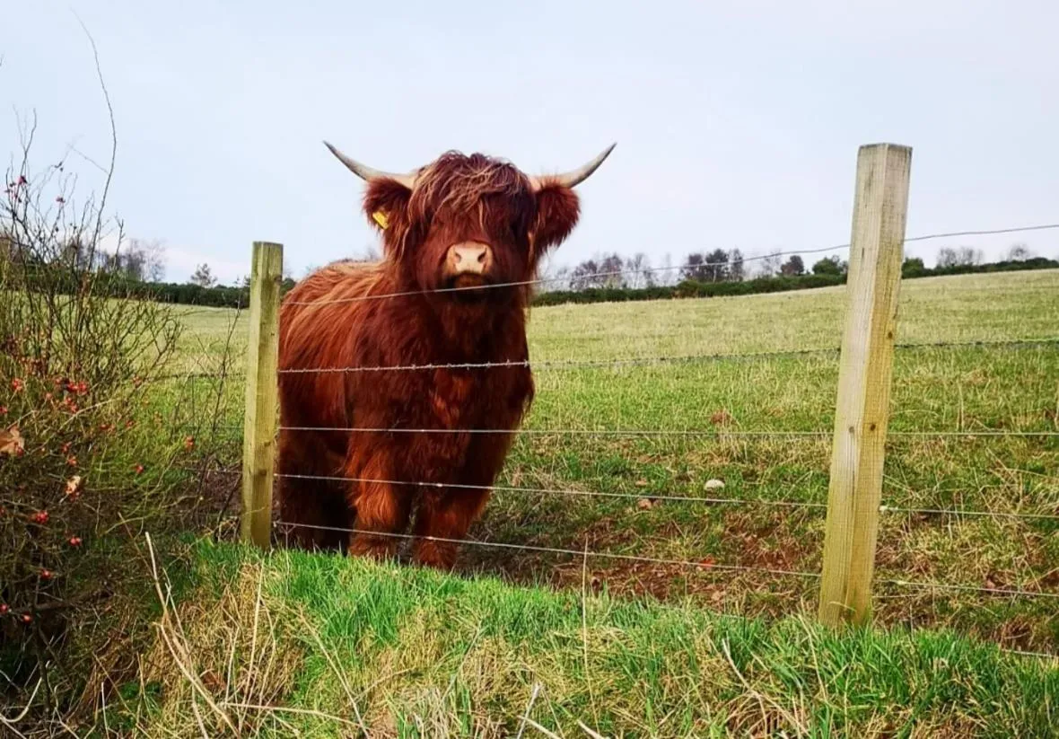 Hillhaven Bed &Breakfast