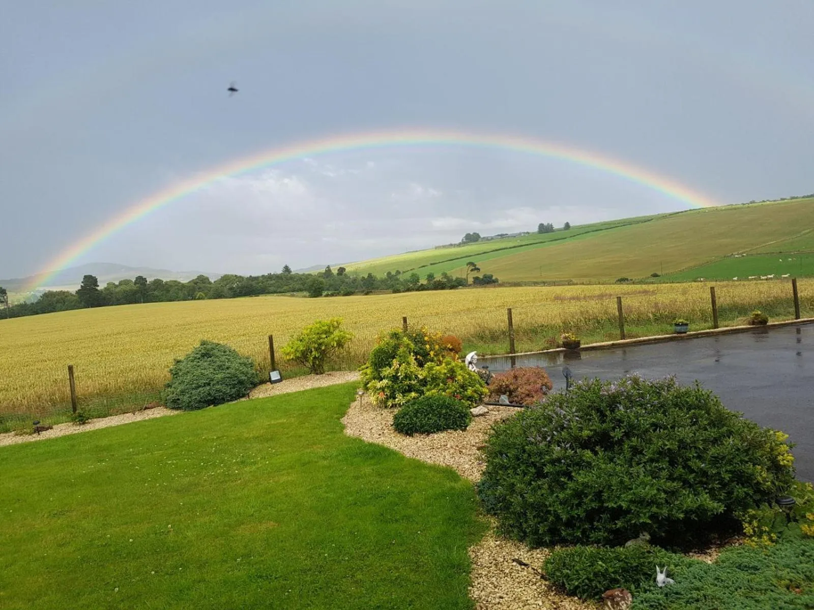 Hillhaven Bed &Breakfast