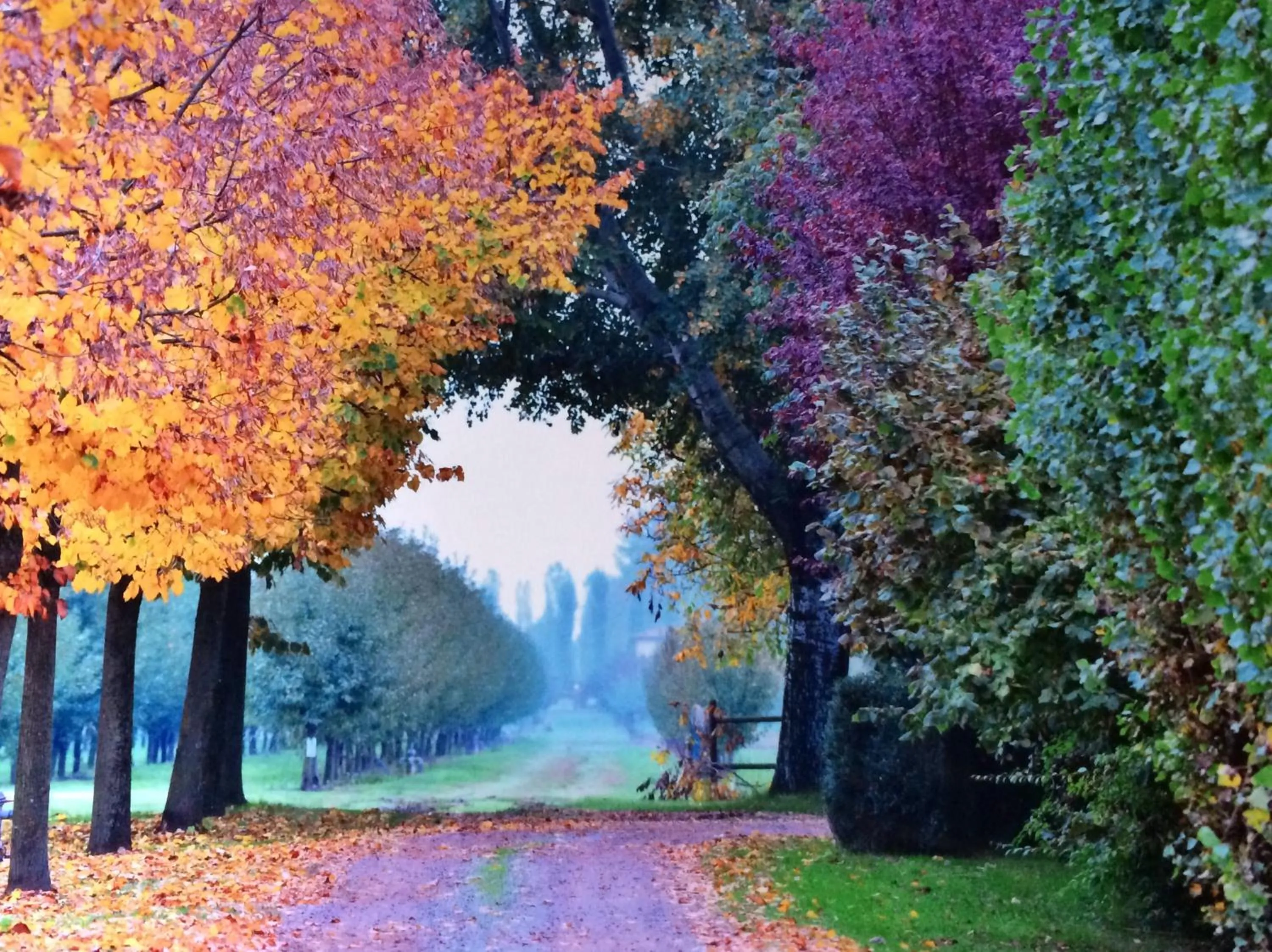 Autumn in Agriturismo La Lupa