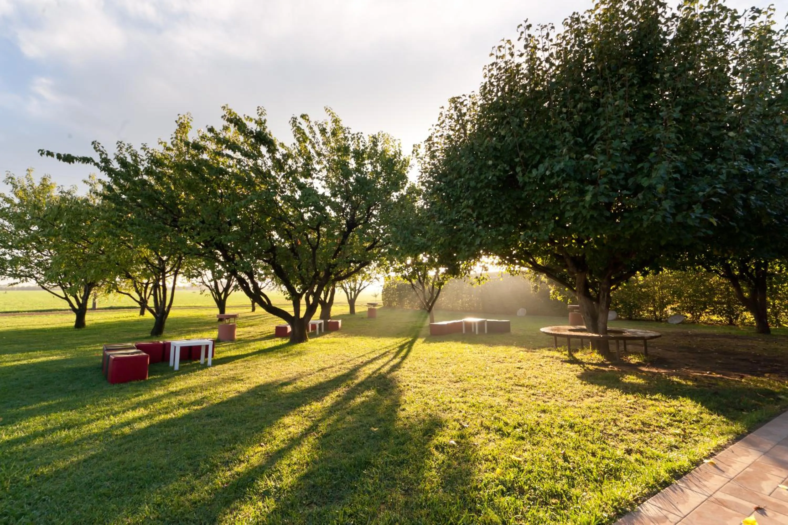 Garden in Agriturismo La Lupa