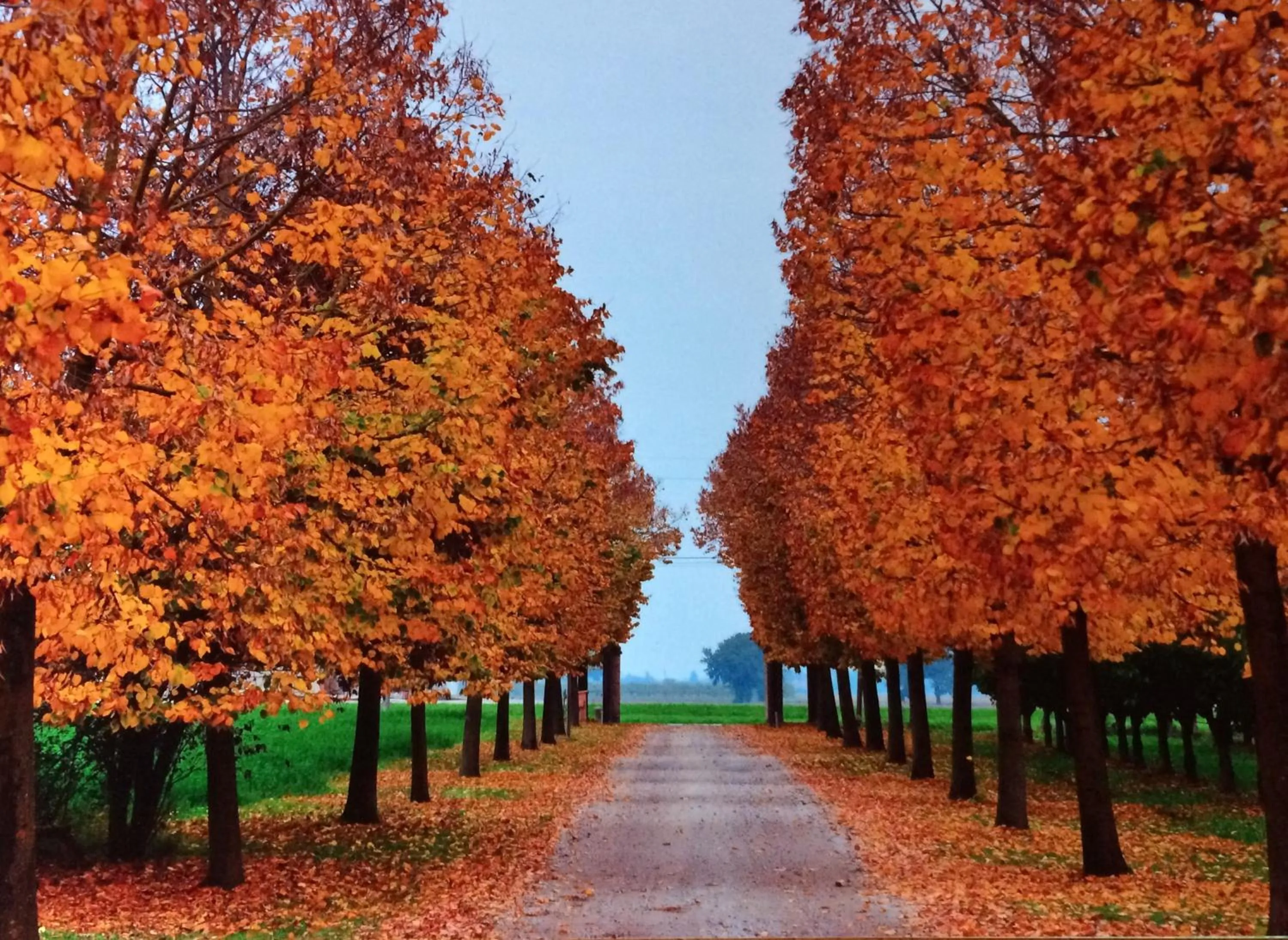 Other in Agriturismo La Lupa