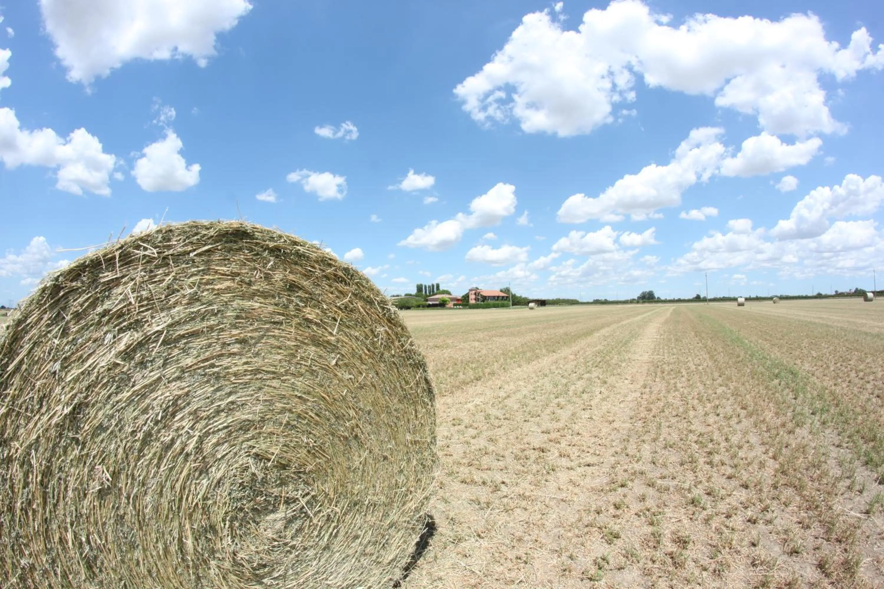 Facade/entrance in Agriturismo La Lupa